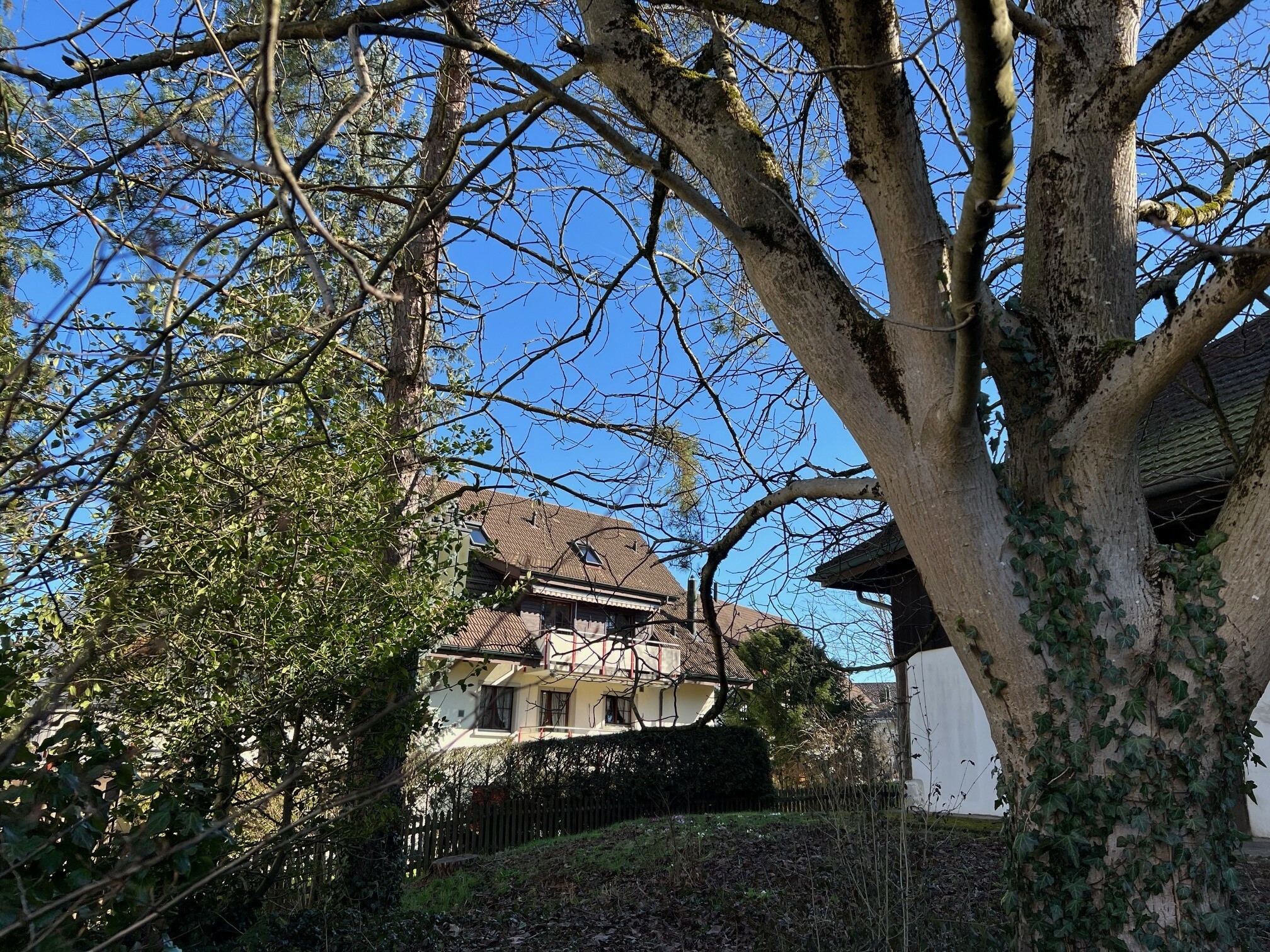 Photo 13