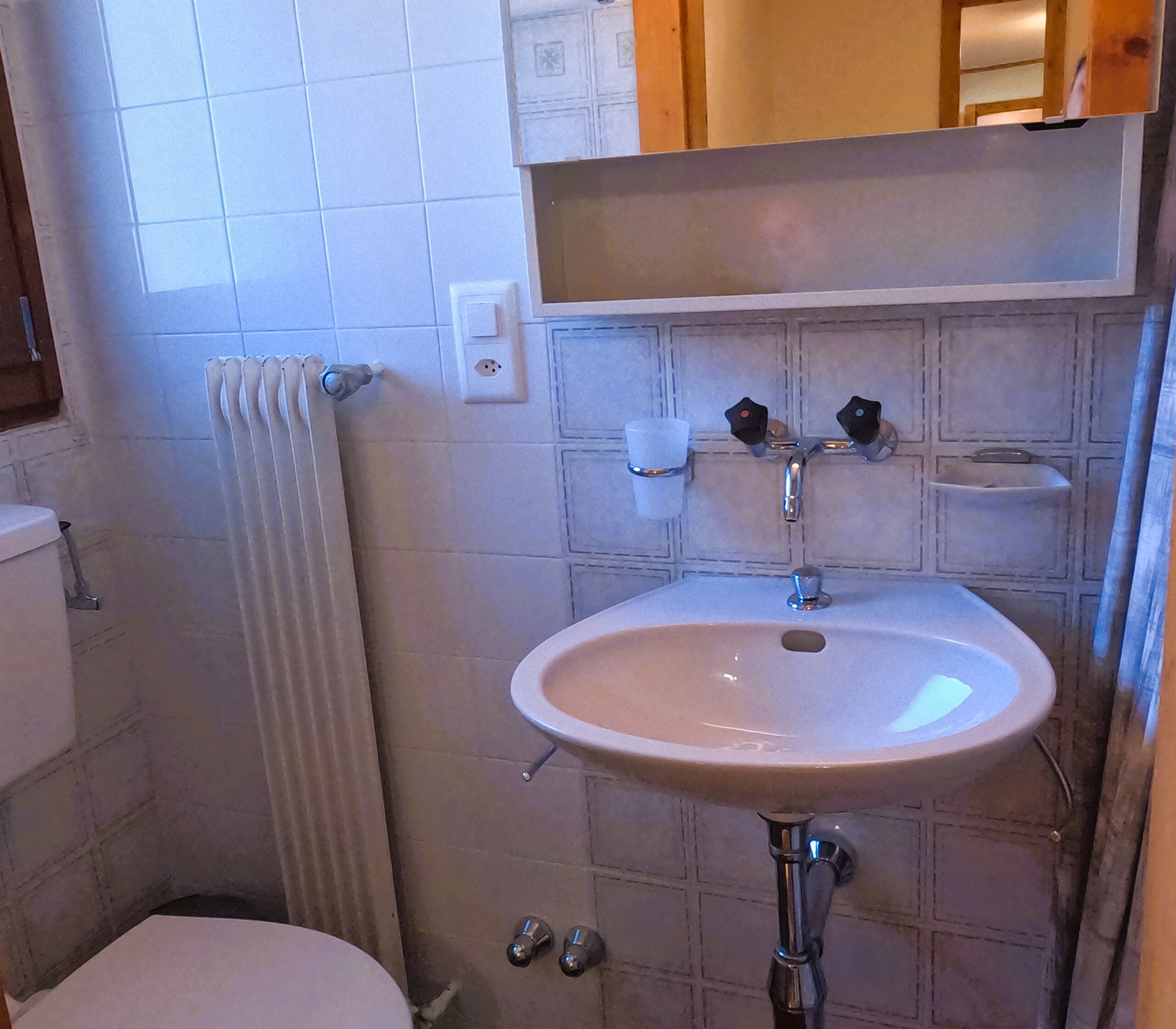 Salle d'eau avec douche, lavabo et WC