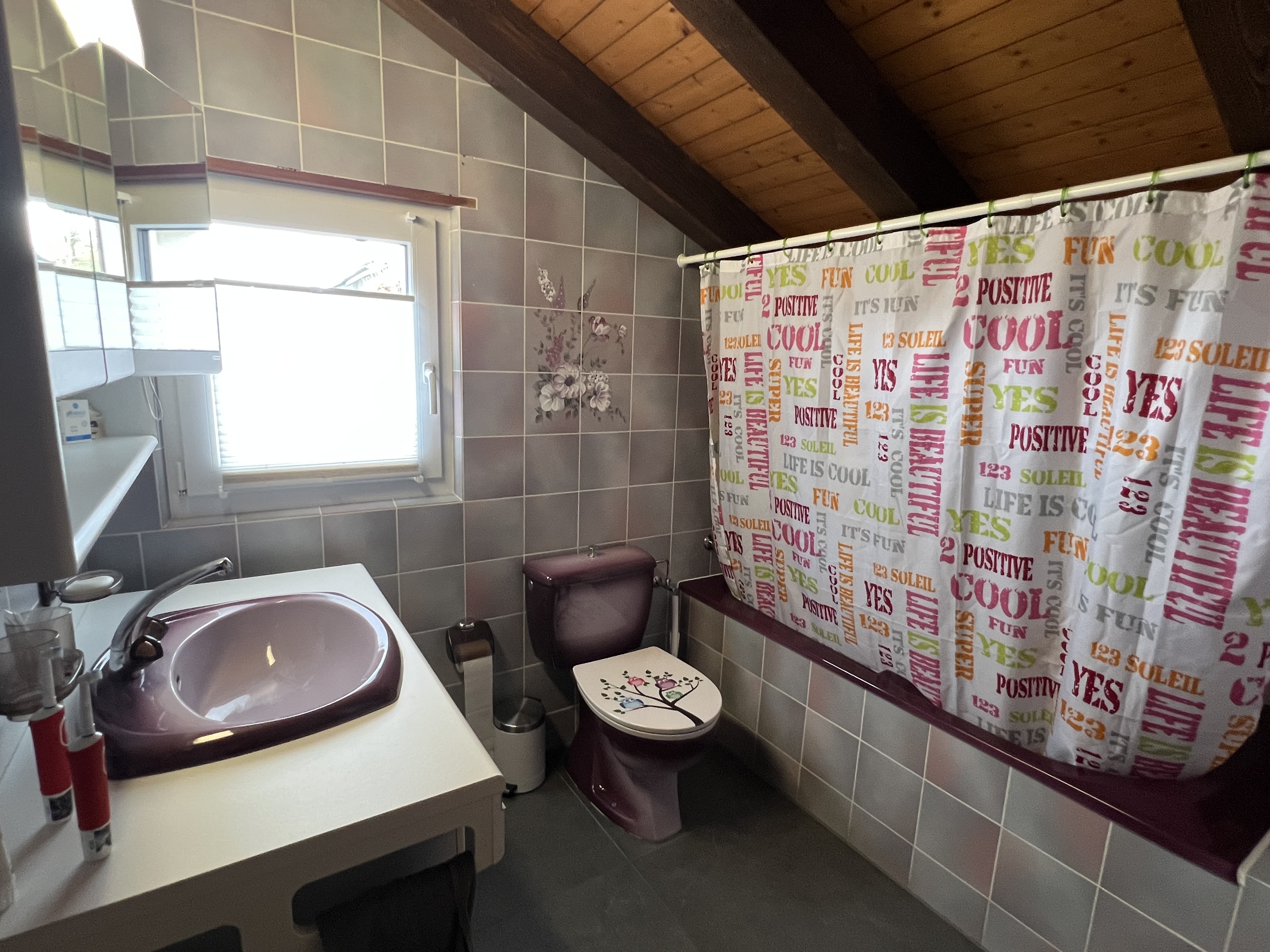 Salle d'eau 1er étage Salle d'eau 1er étage