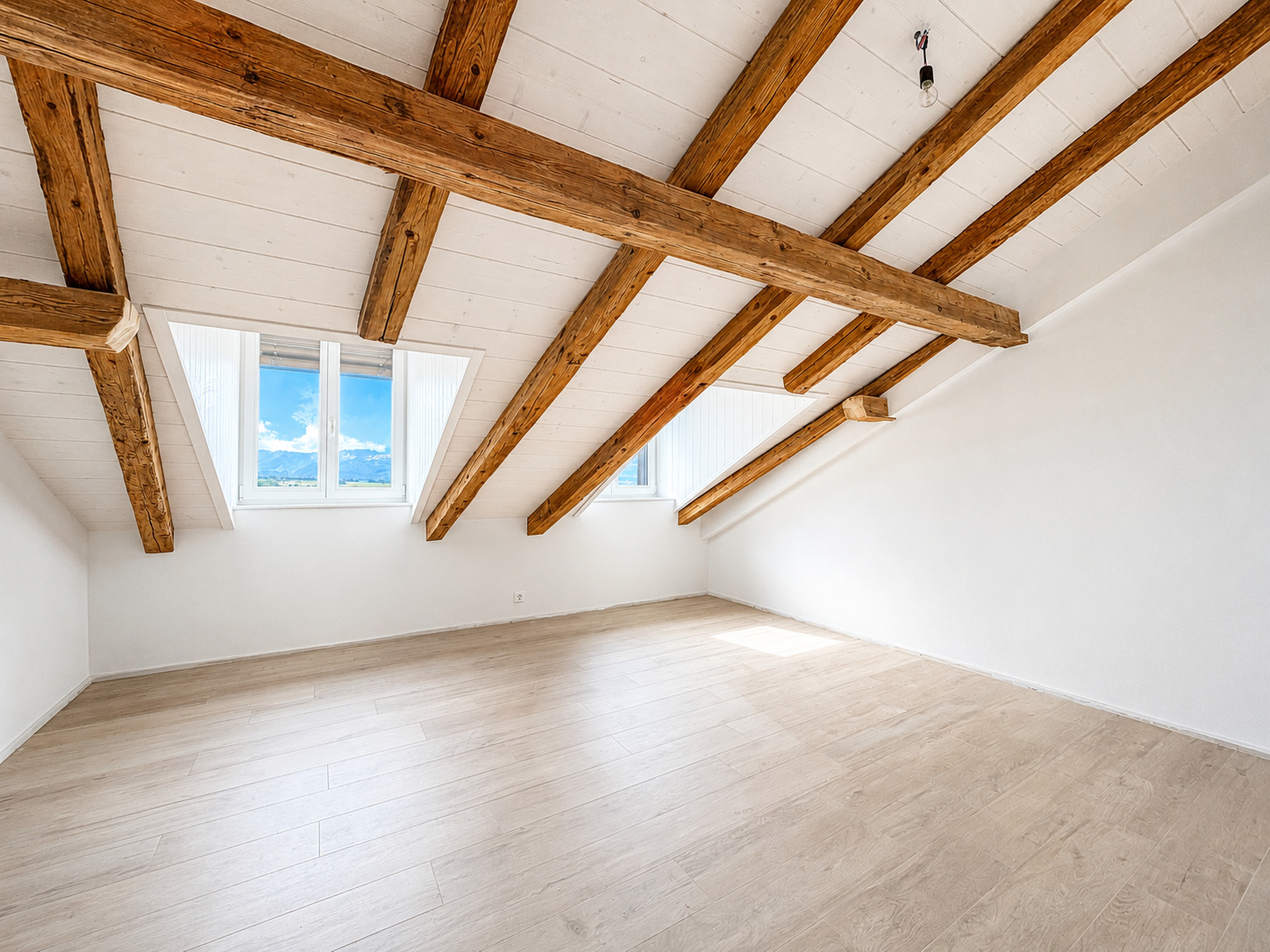Interior view 5