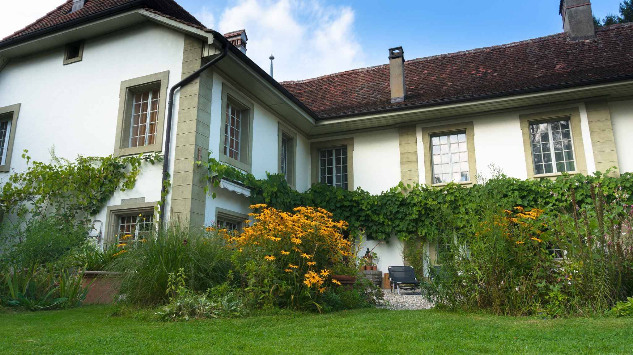 Premier coup d'oeil 1