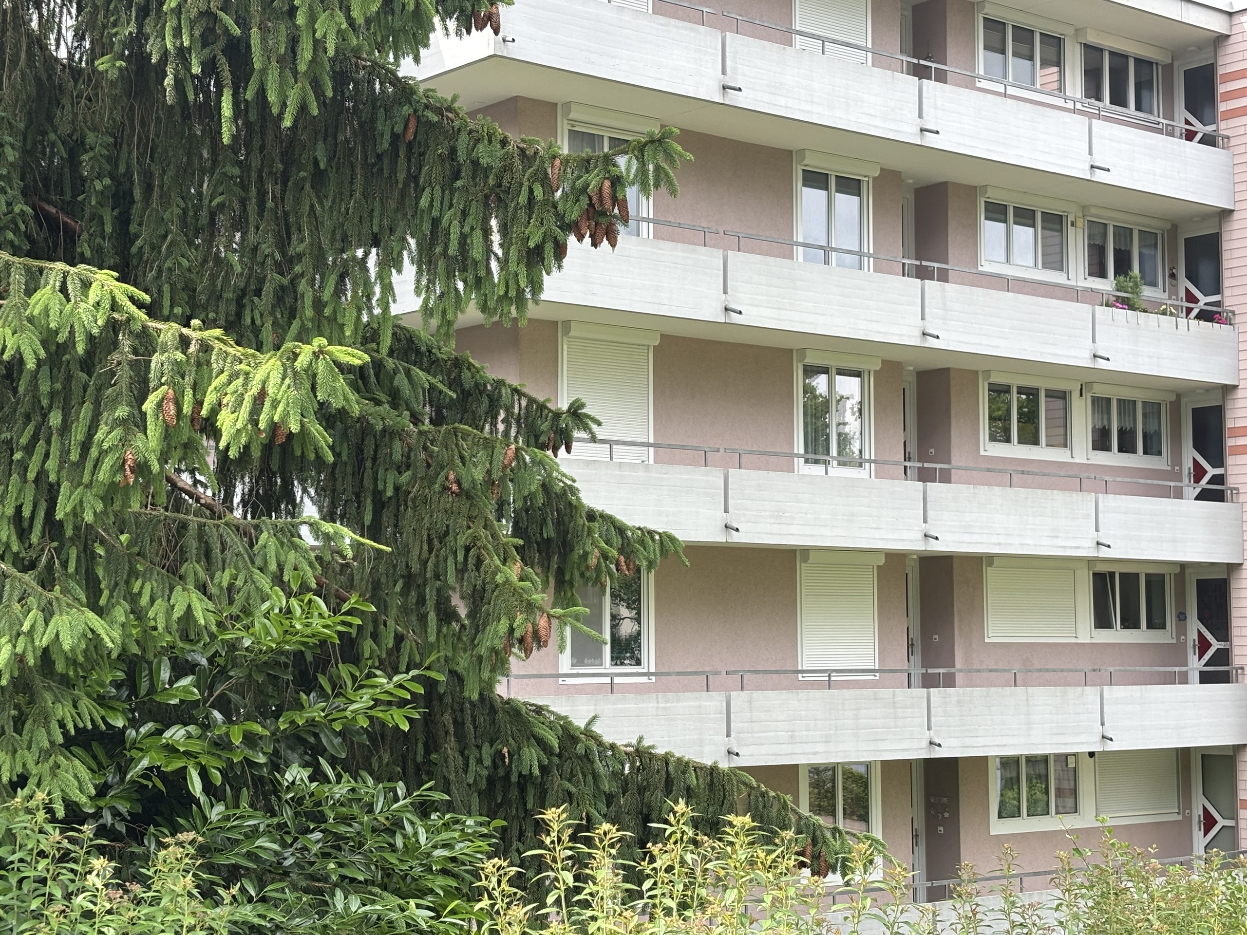 MFH Ansicht
