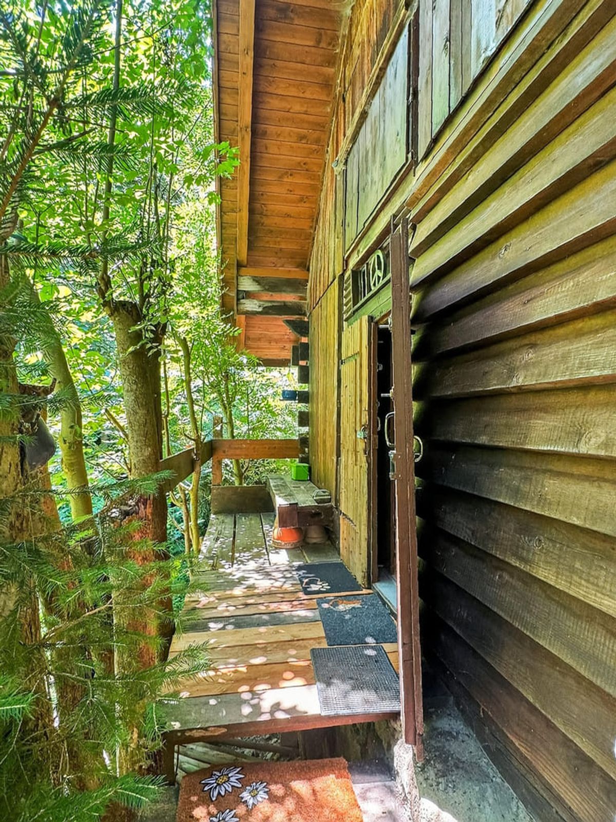 Photo 11
