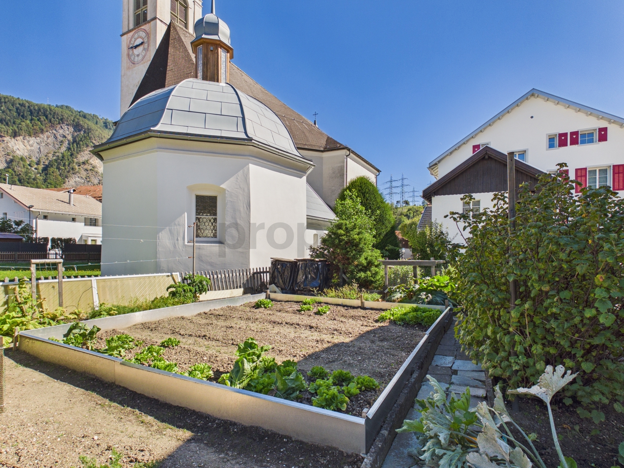 Image 11