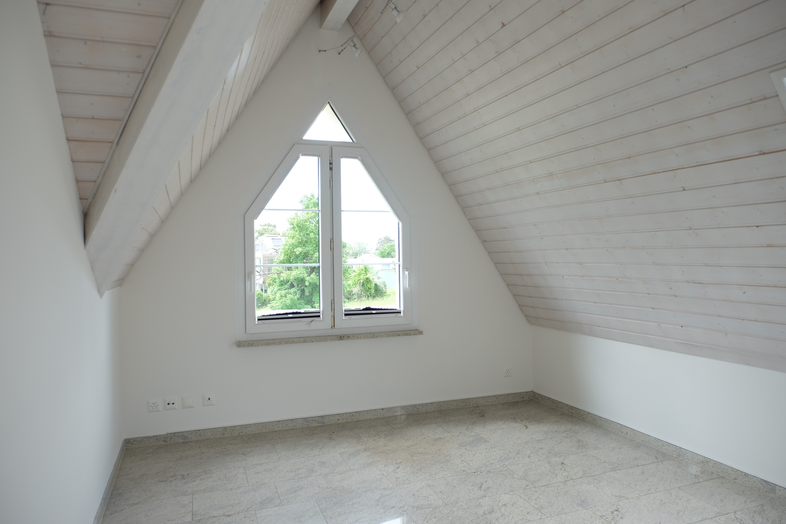 Zimmer DG