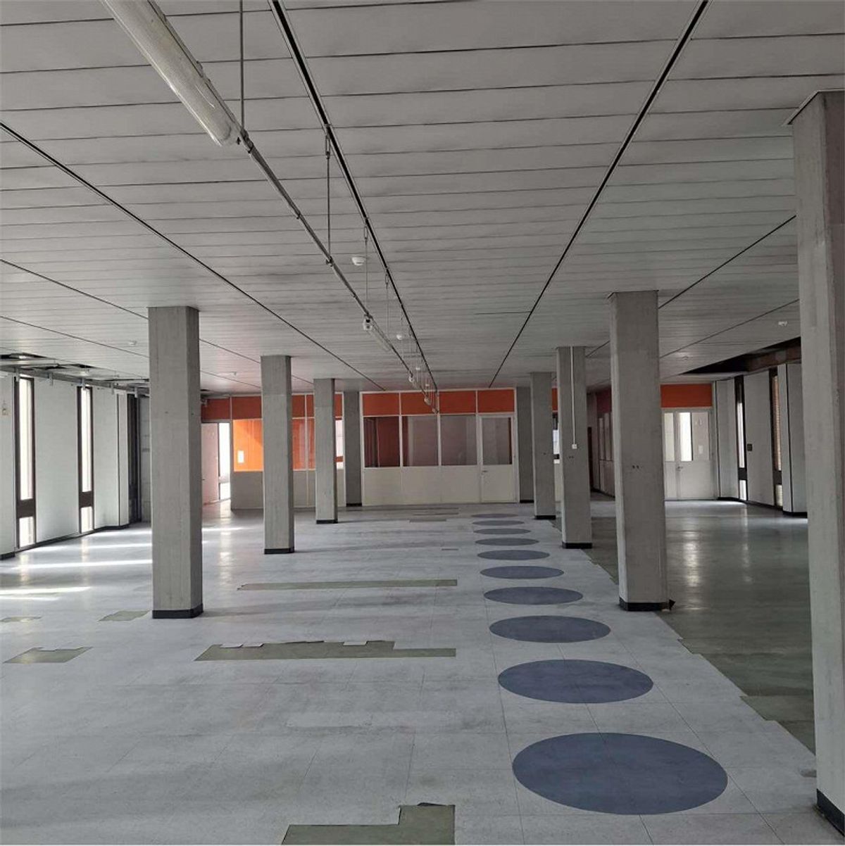 Immagine di copertina