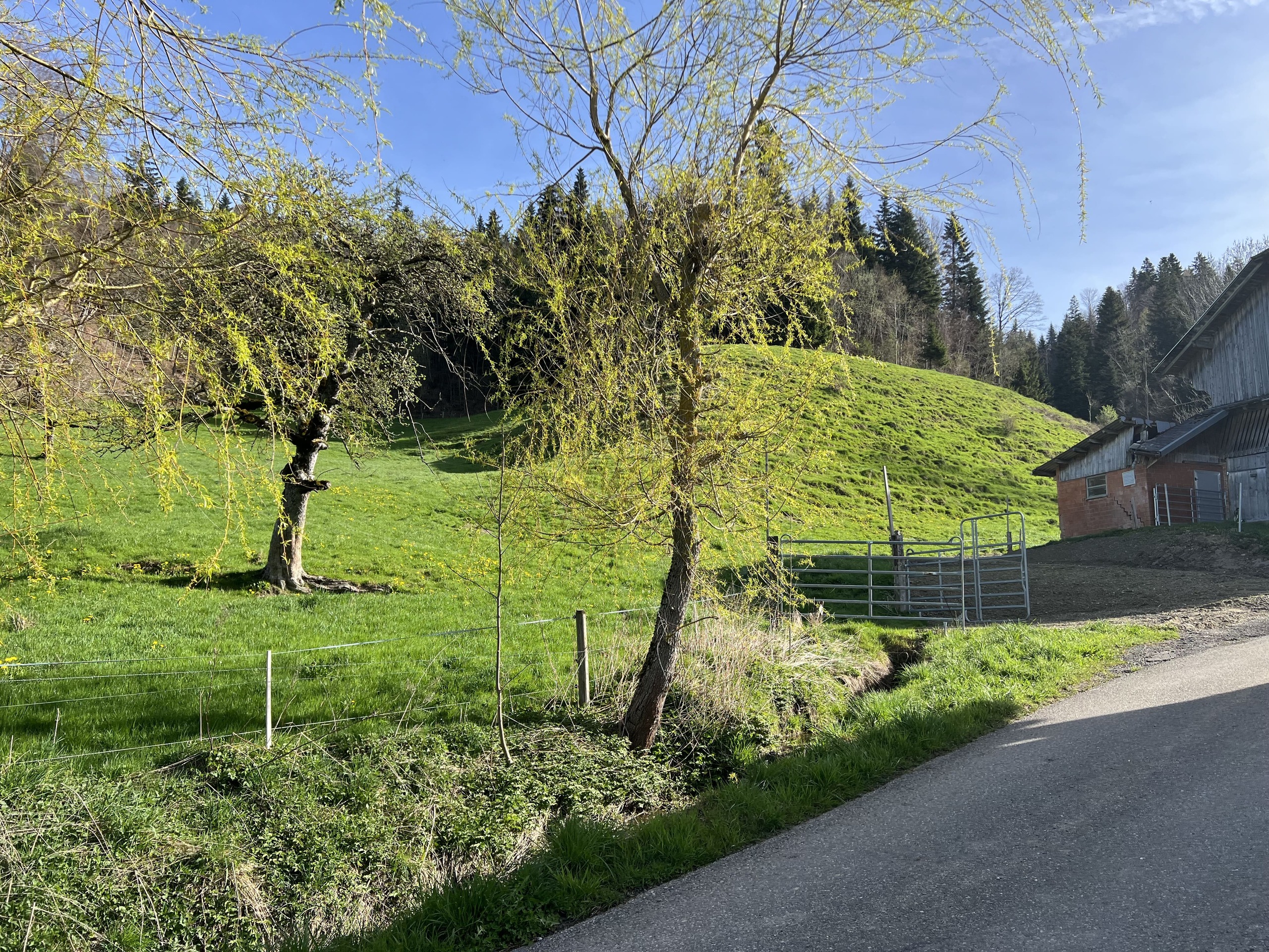 Weidezugang Weidezugang