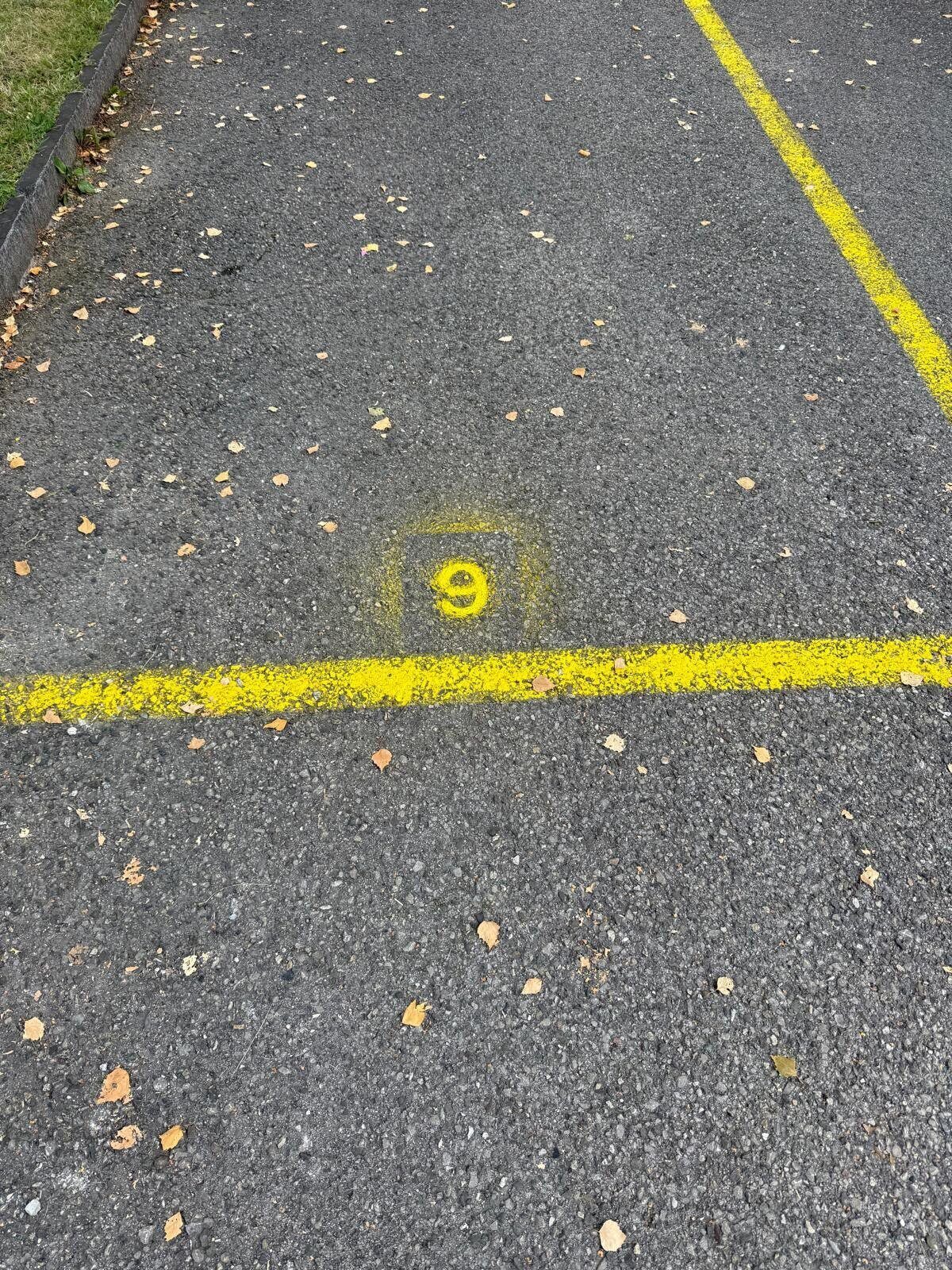 Picture 1