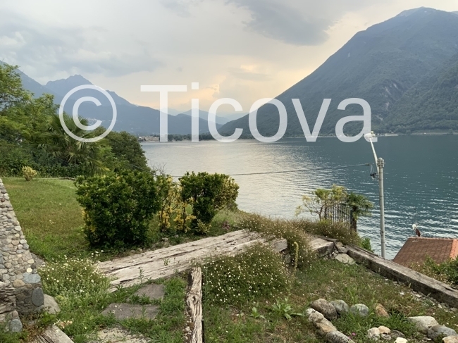 Immagine di copertina