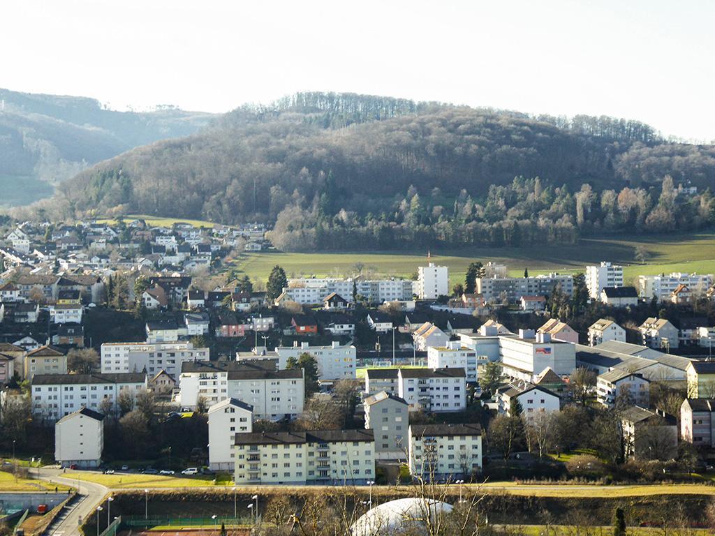 Immagine di copertina