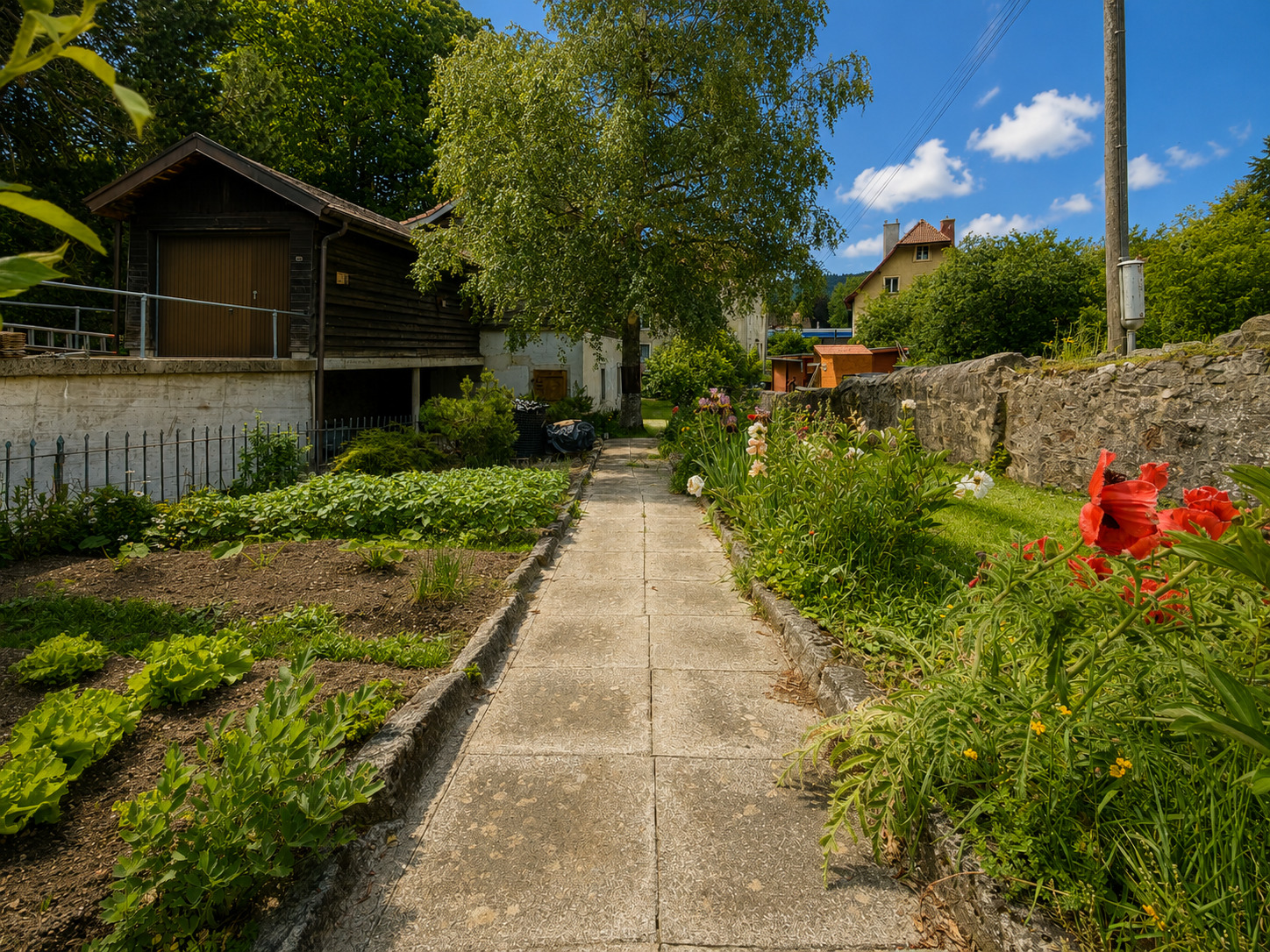 Jardin potager