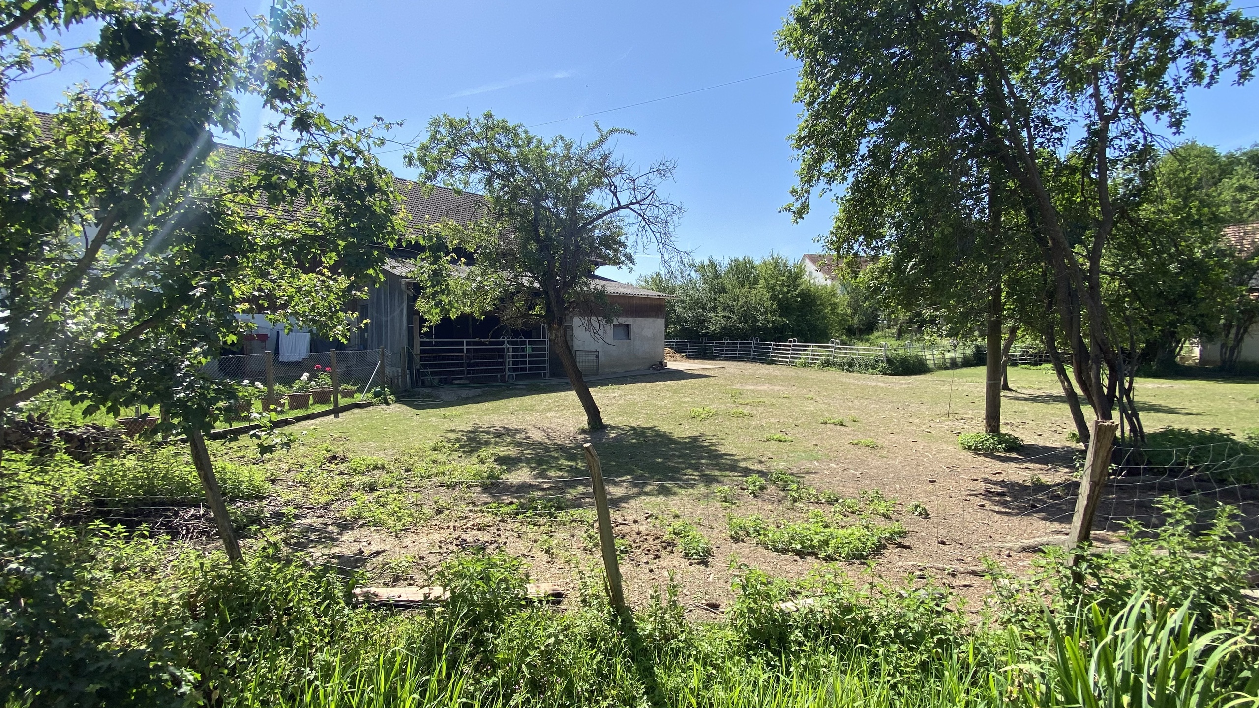 Picture 20