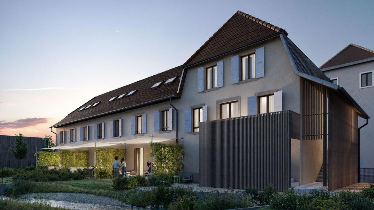 Premier coup d'oeil 2