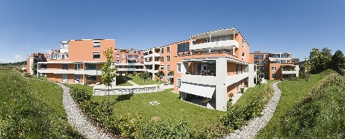 Picture 1