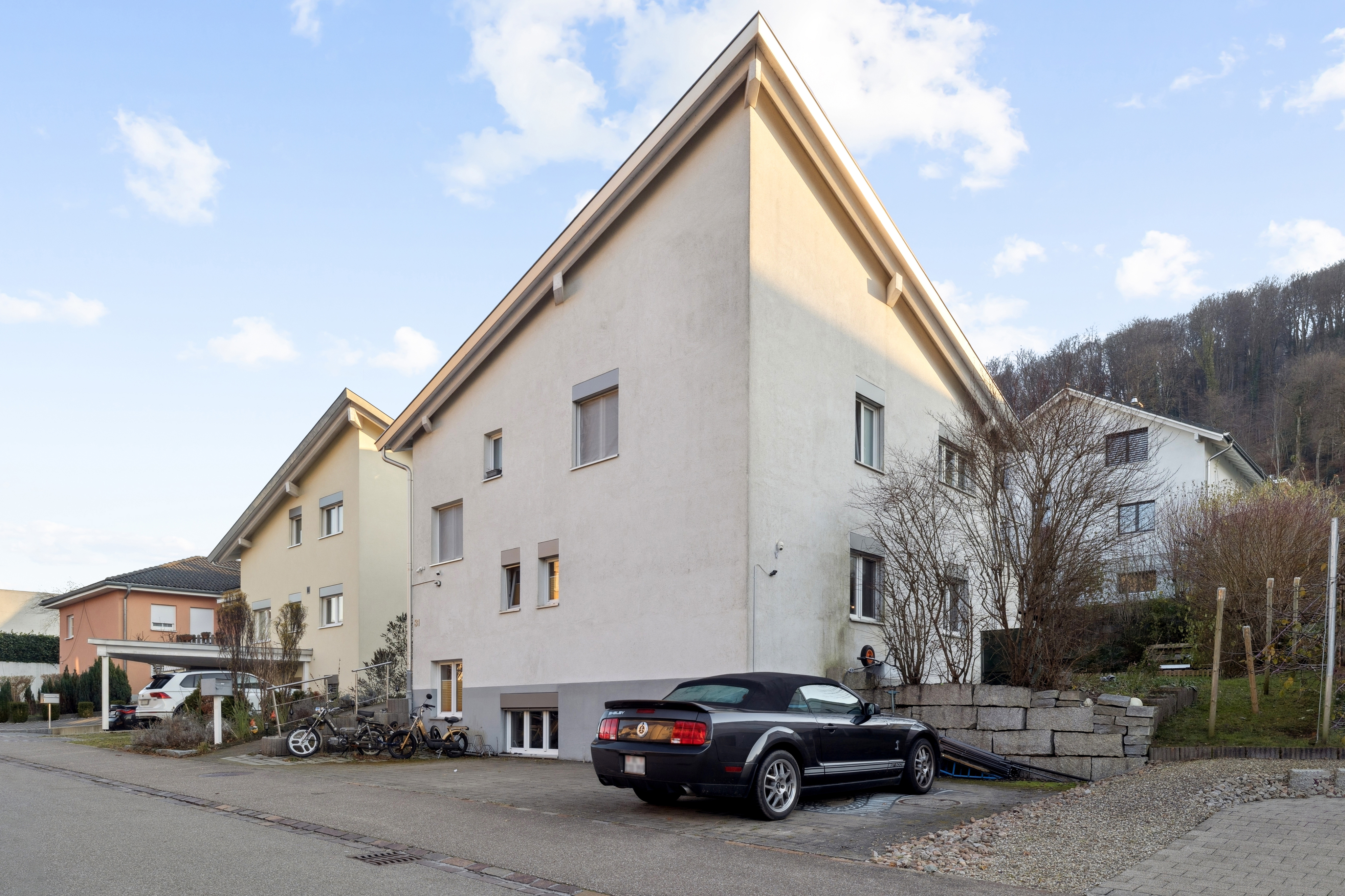 Ansicht von der Strassenseite