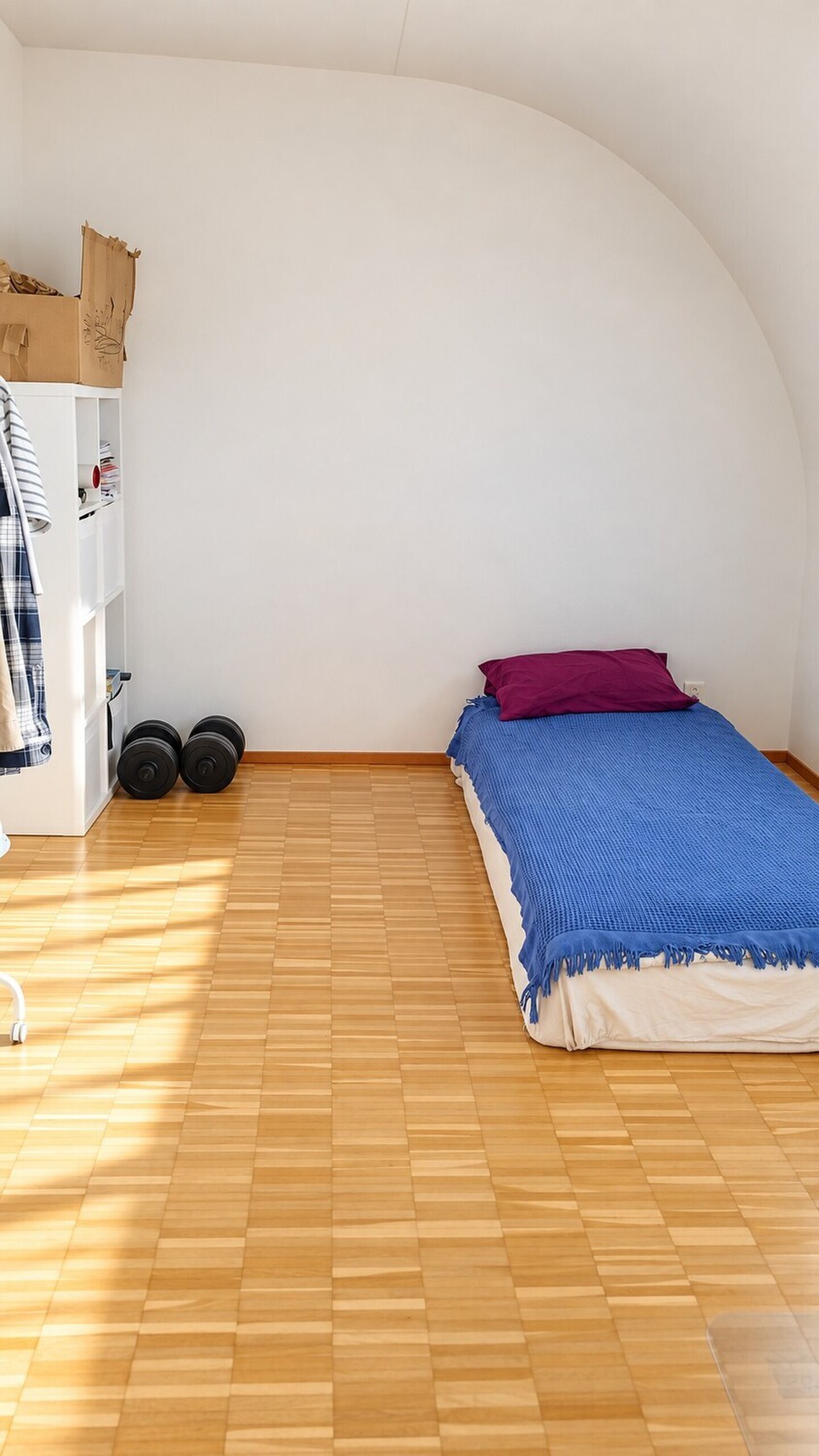 Picture 6