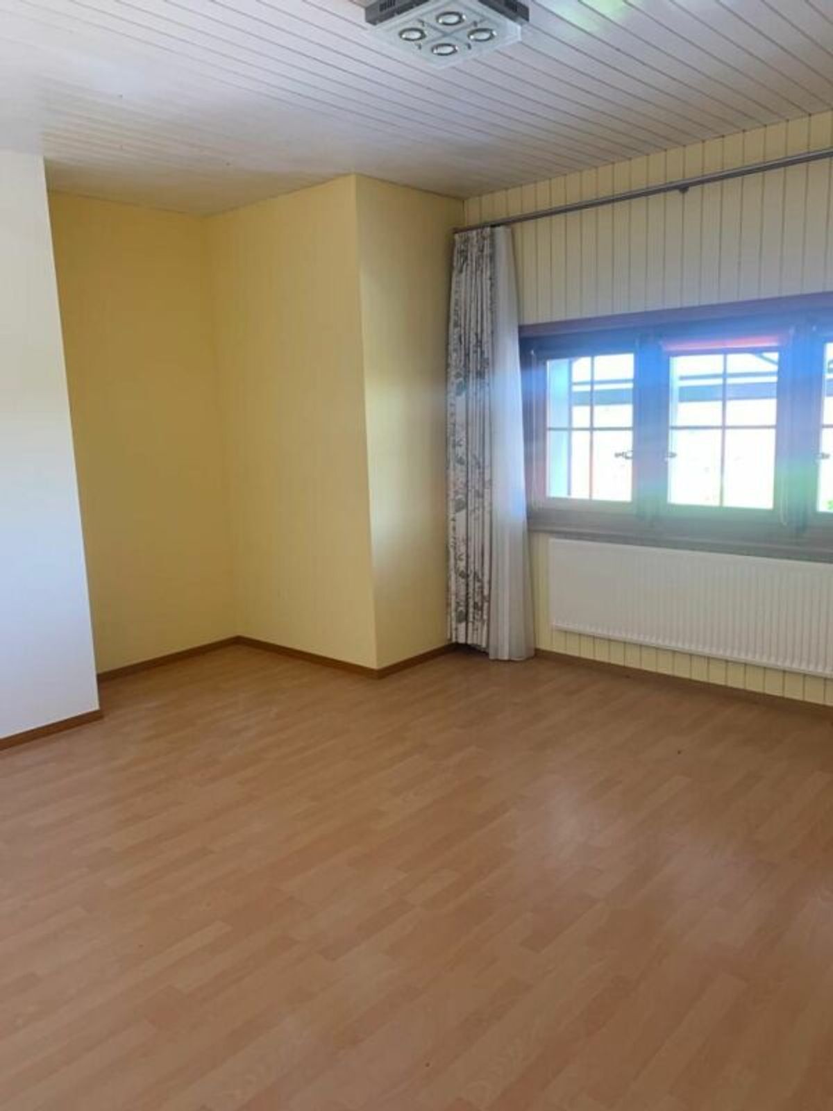 Picture 12
