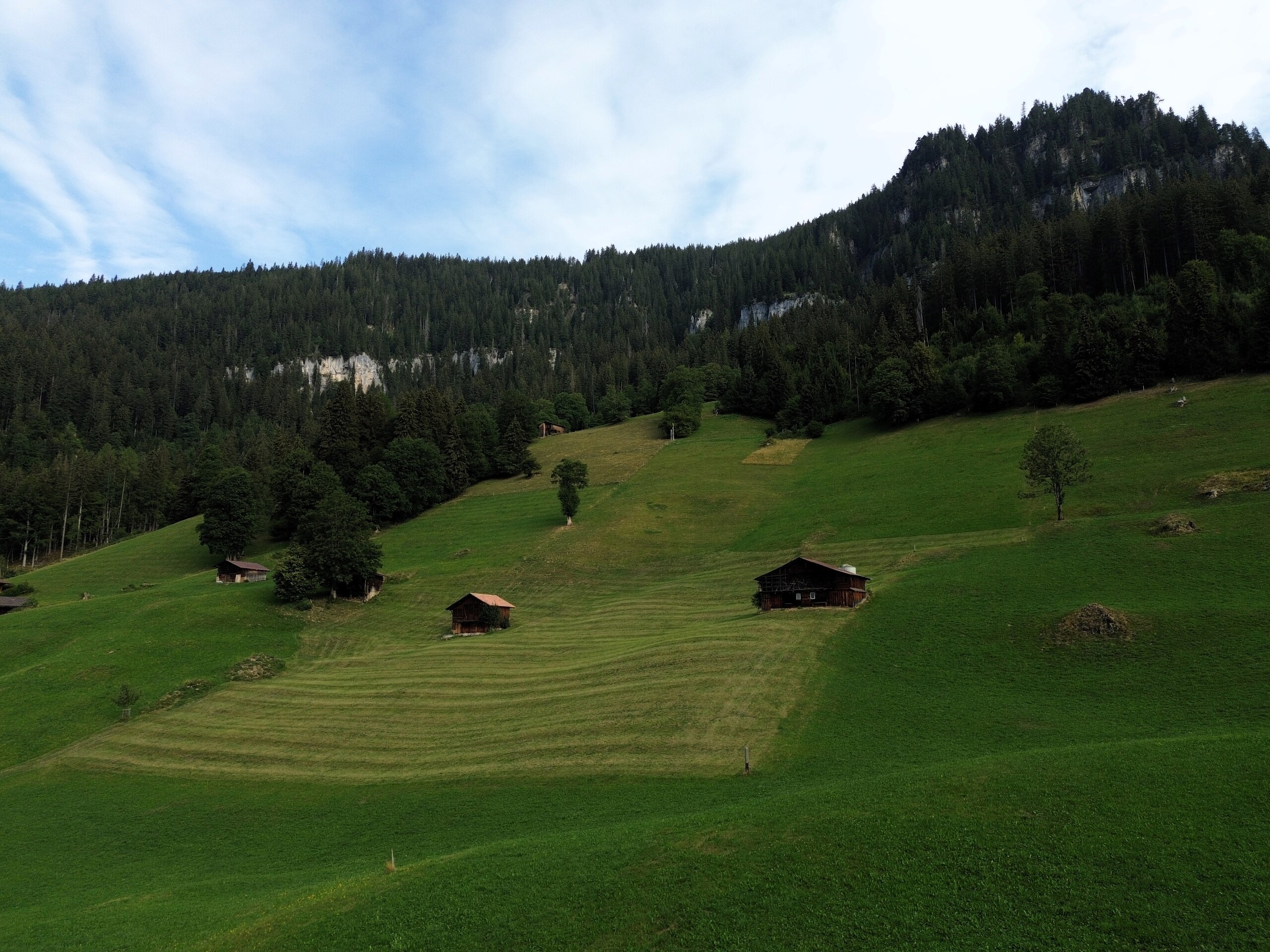 Aussenansicht 5