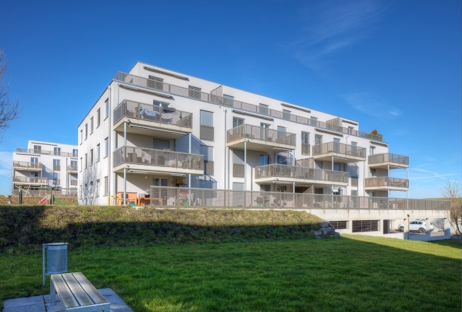 Immagine di copertina