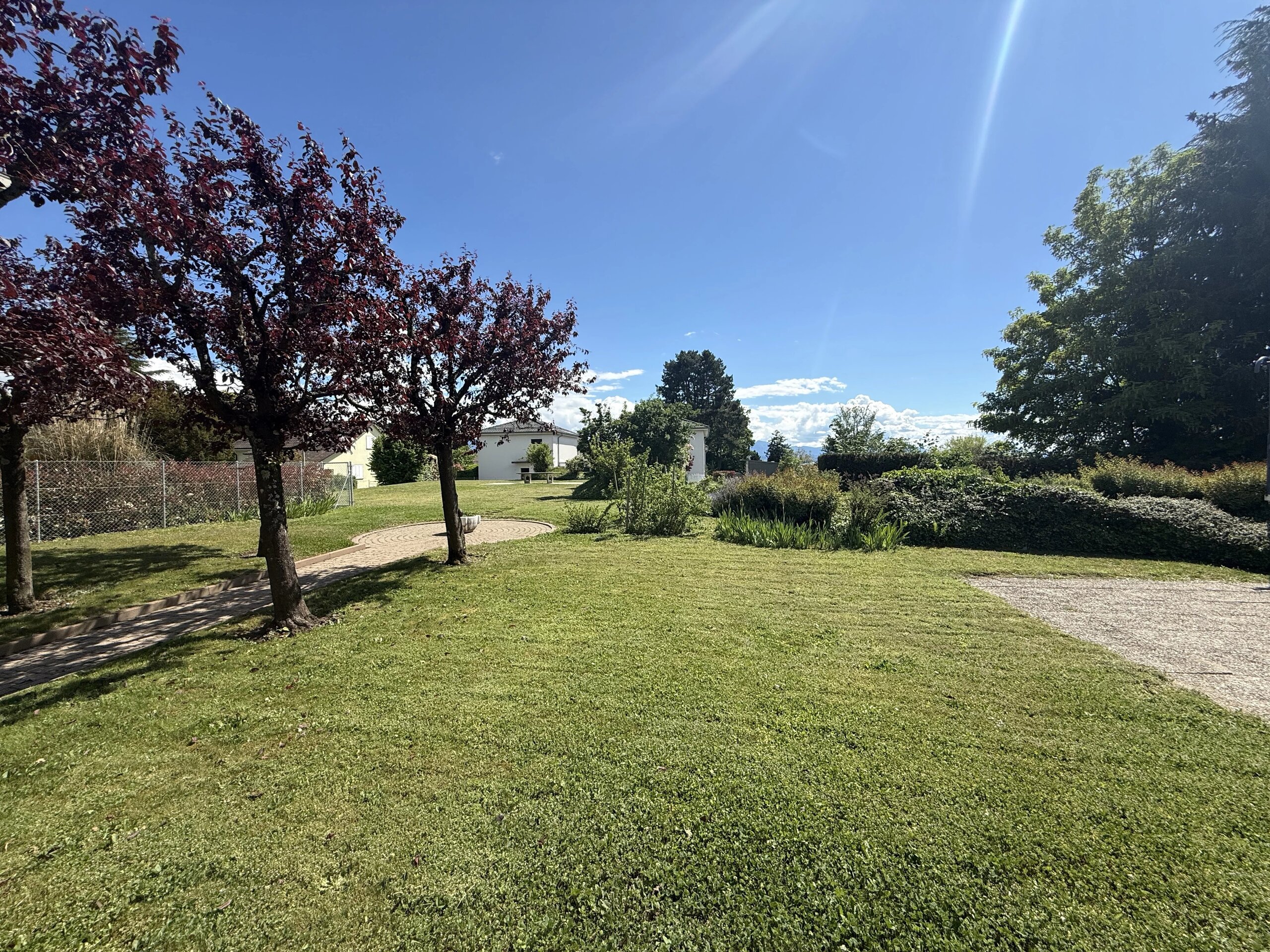 Picture 25