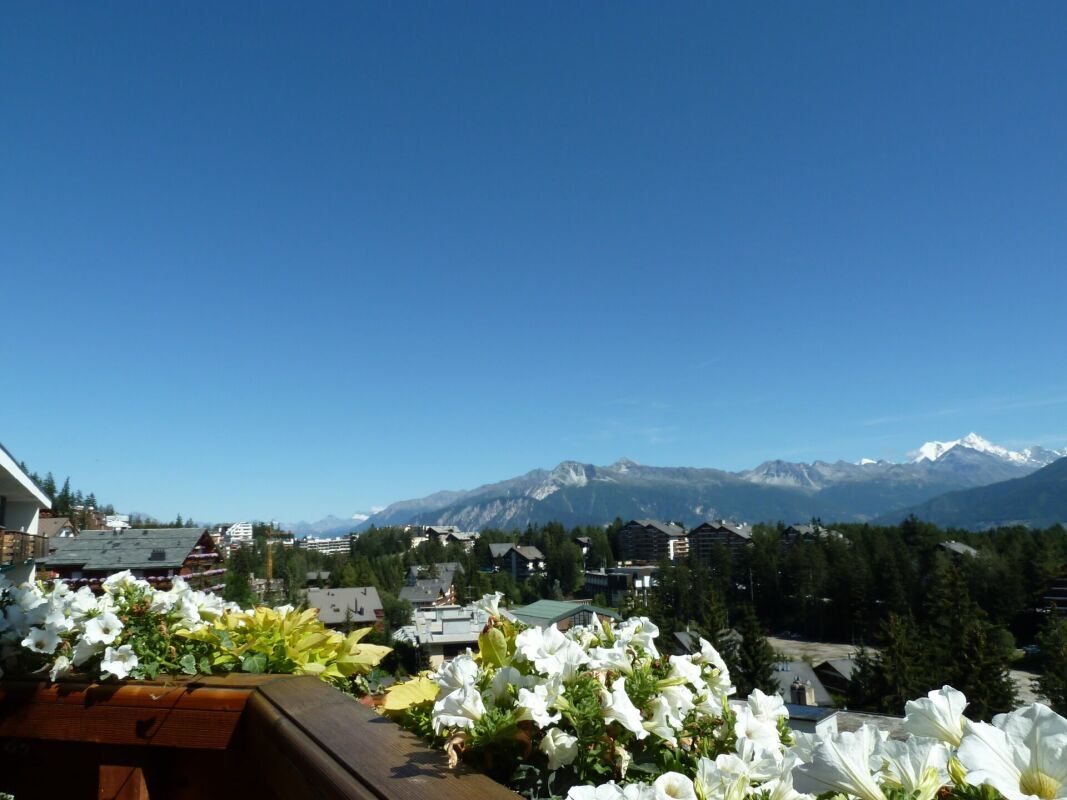 Images non contractuelles