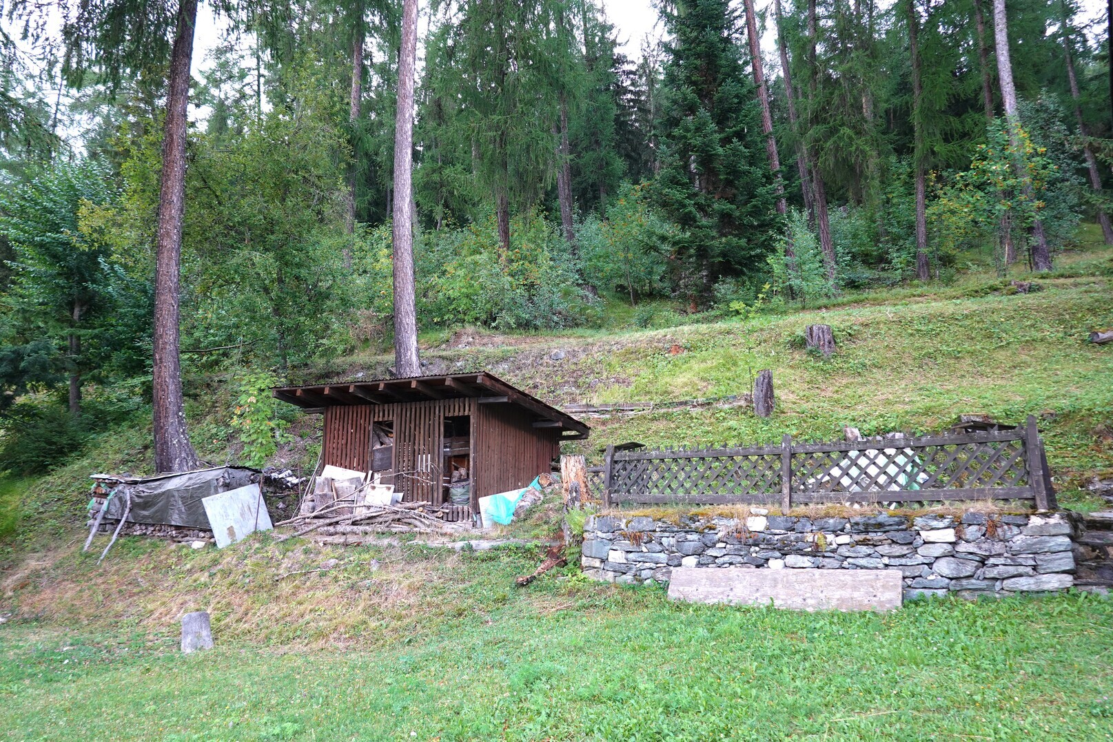 Foto 3