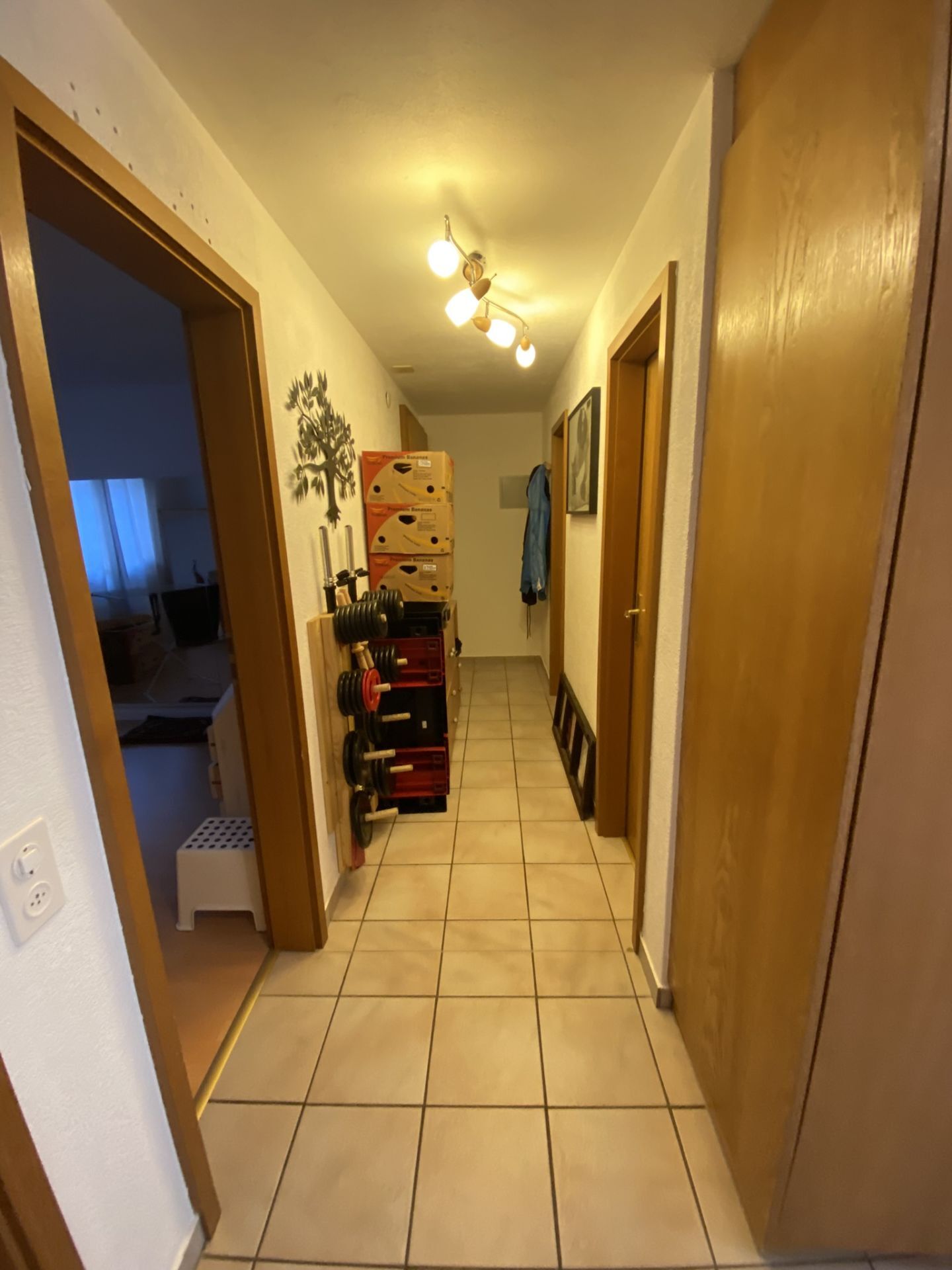Photo 4