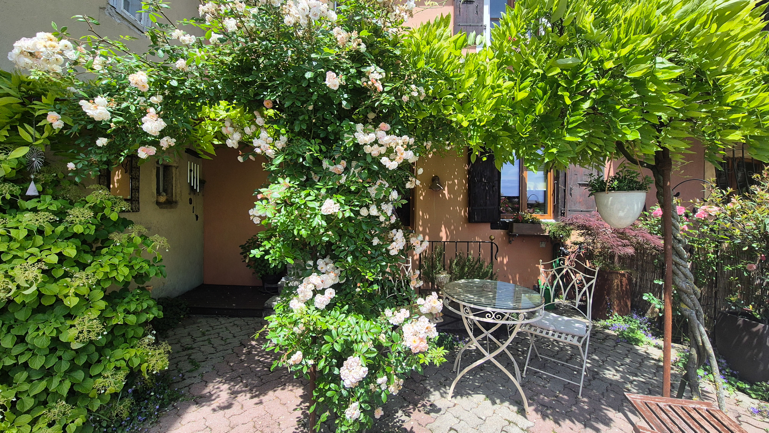 Vue extérieure 3