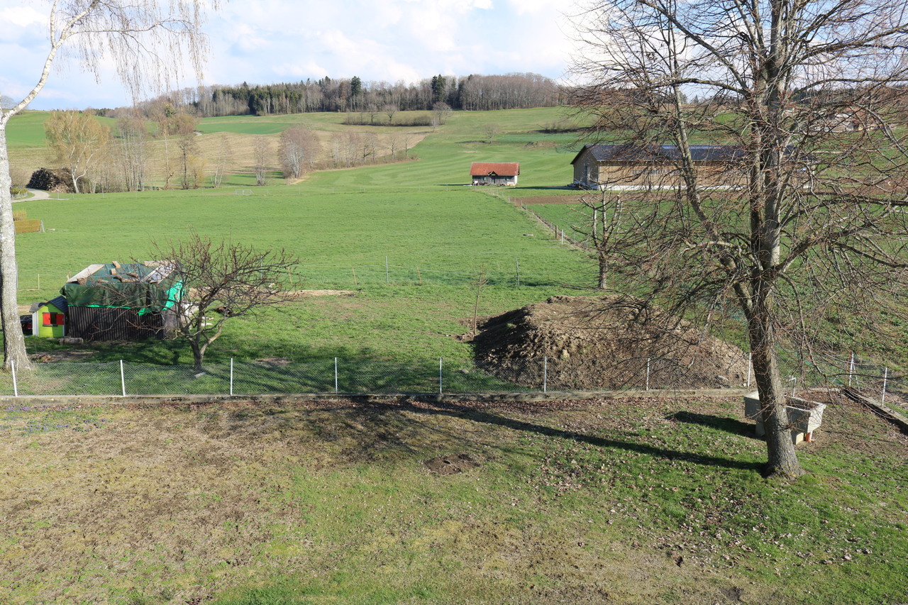 Jardin Jardin