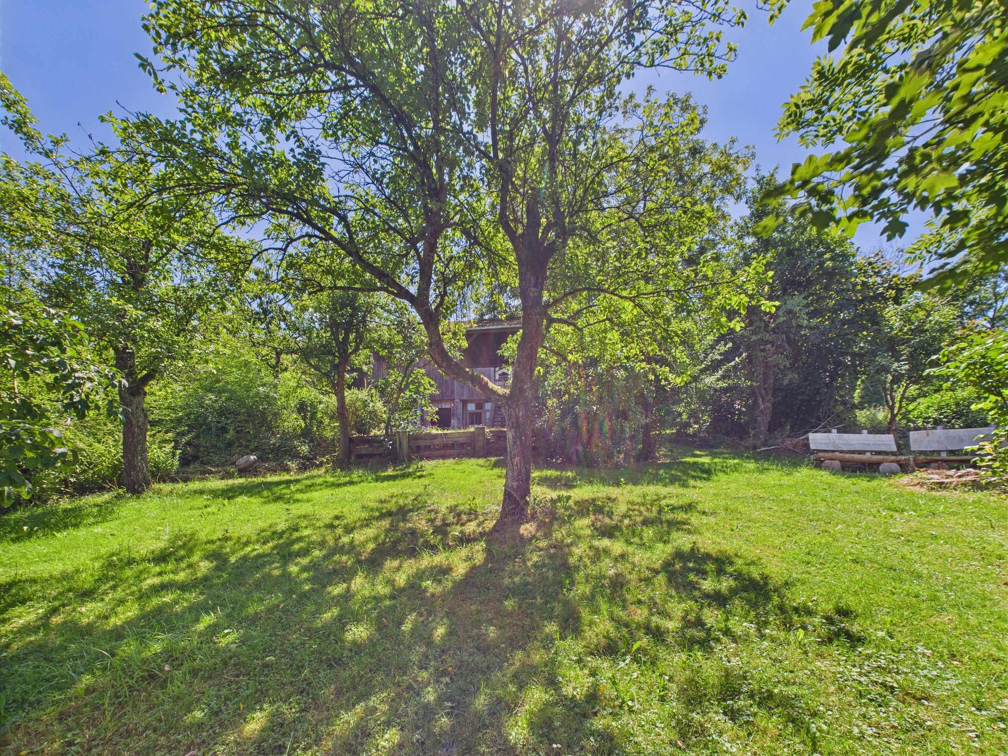 Garten/Wiese Garten/Wiese