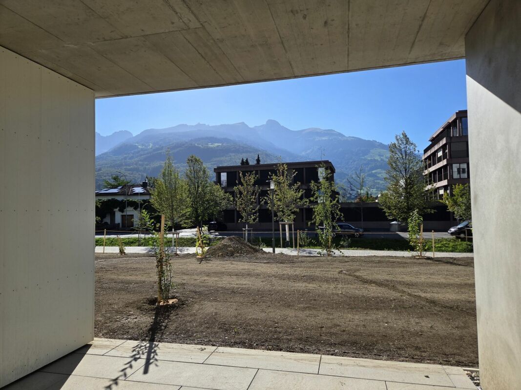 Picture 6