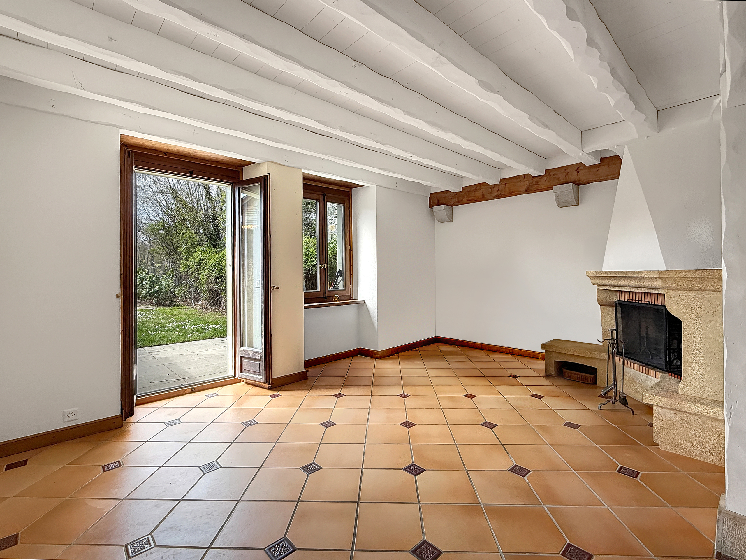 Salon avec cheminée et accès au jardin 