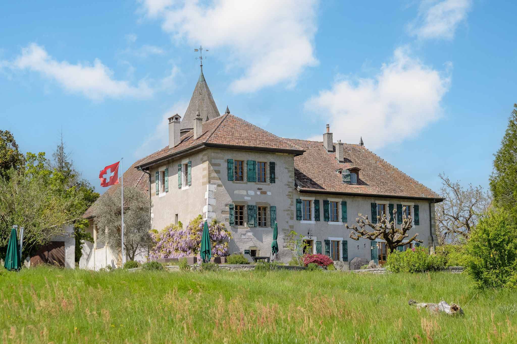 Immagine di copertina