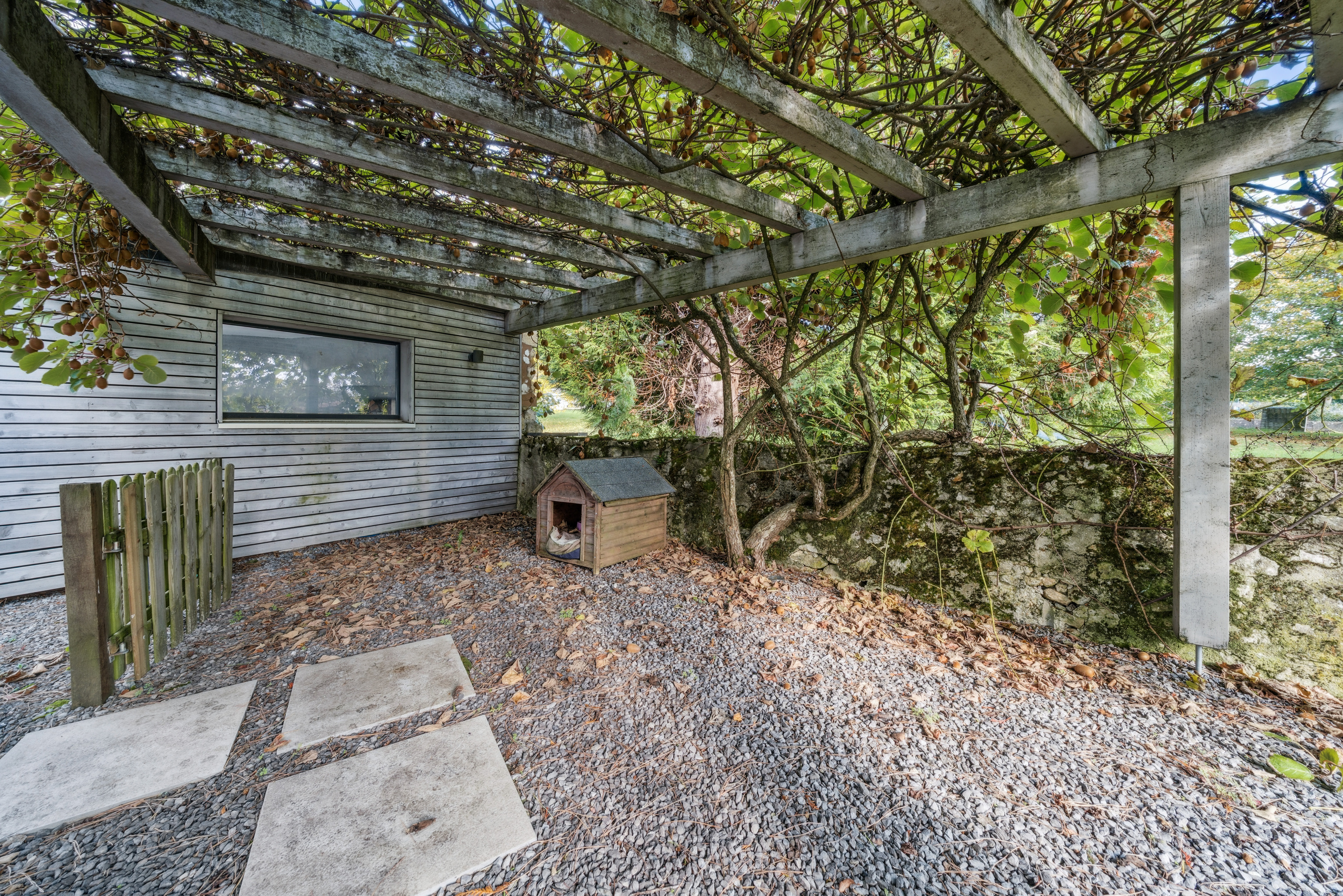 Pergola Pergola