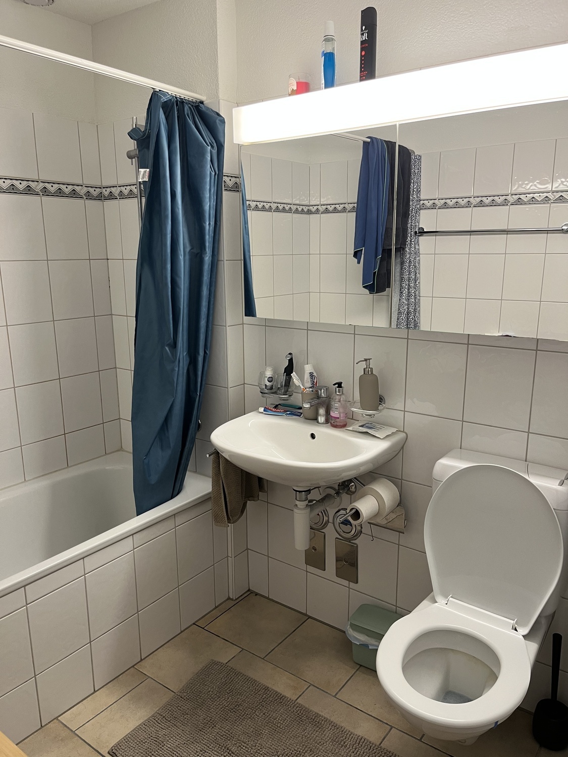 Picture 6