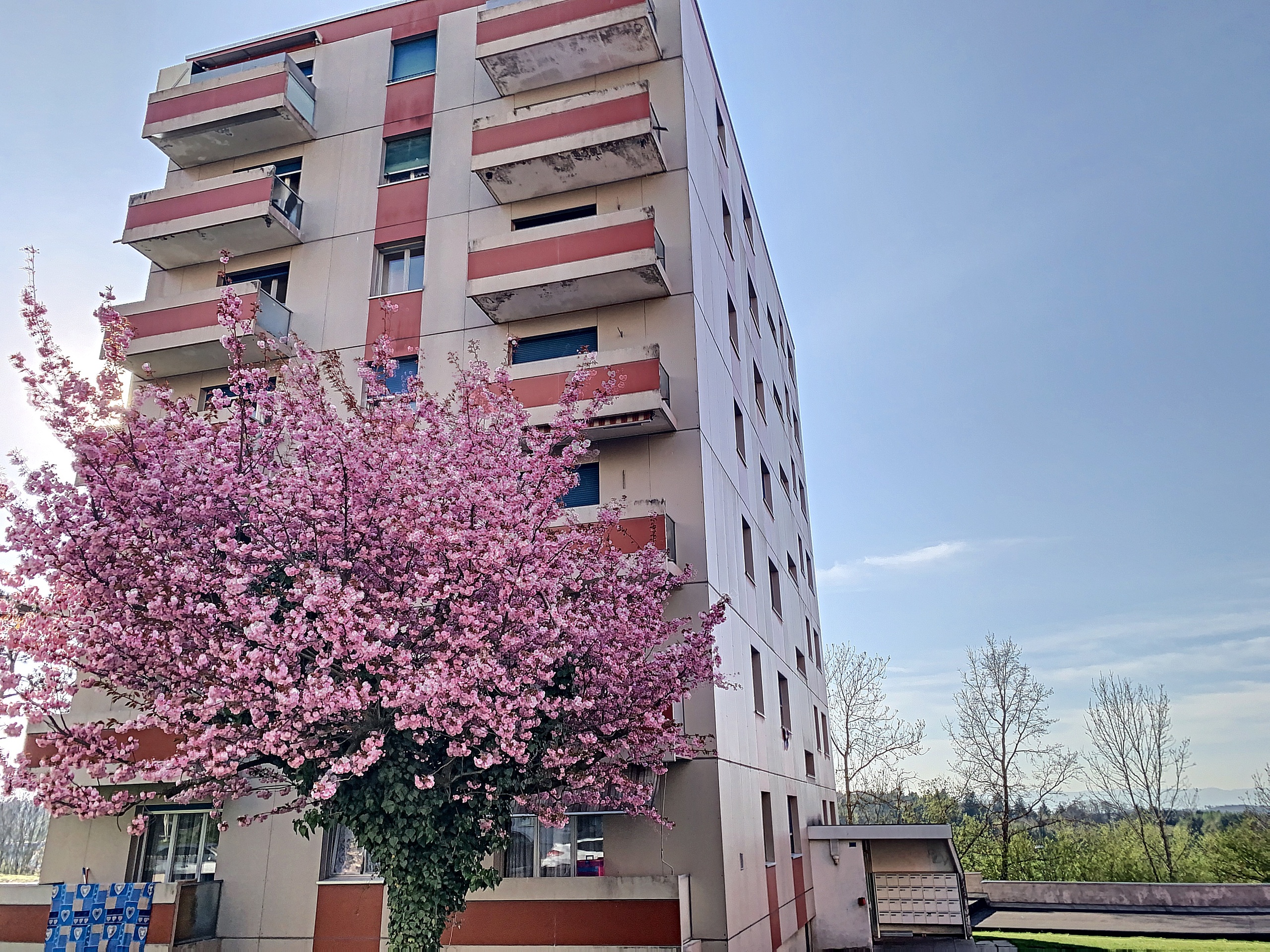 Immeuble
