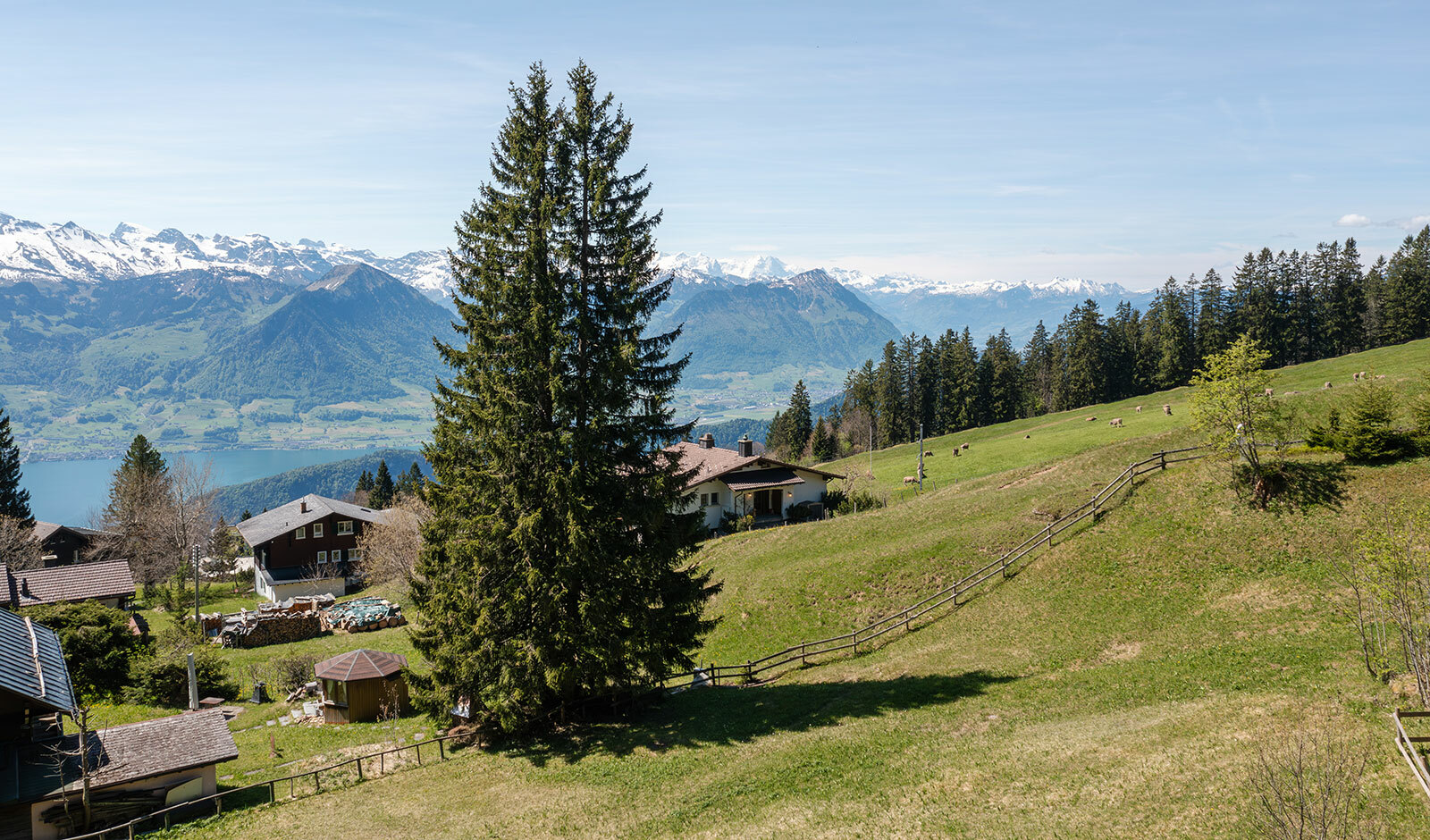 Weitere Fotos unter www.dv-immo.ch