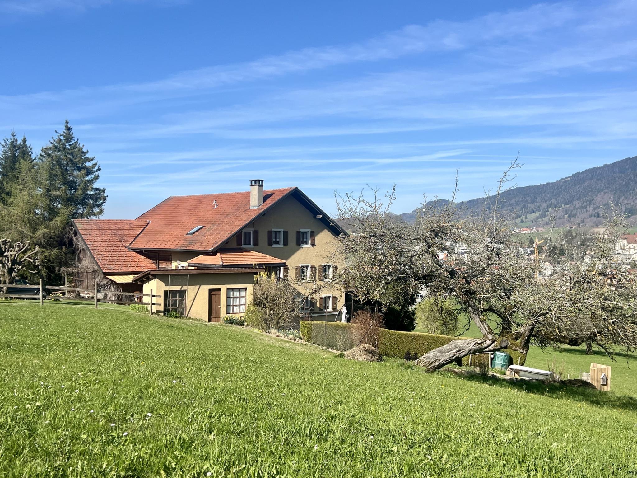 Immagine di copertina 1