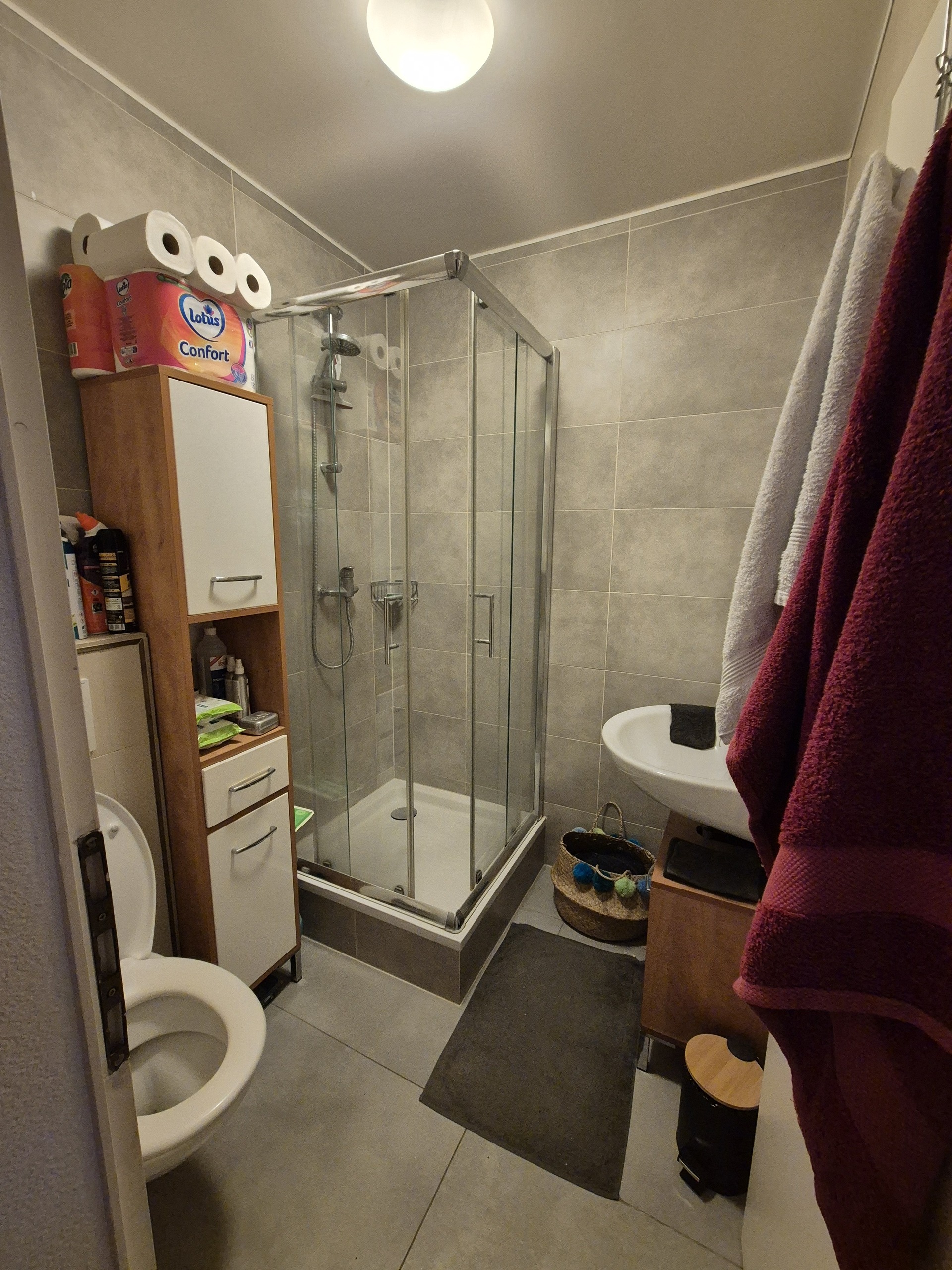 Salle de douche du rez du 7,5 pièces Salle de douche du rez du 7,5 pièces