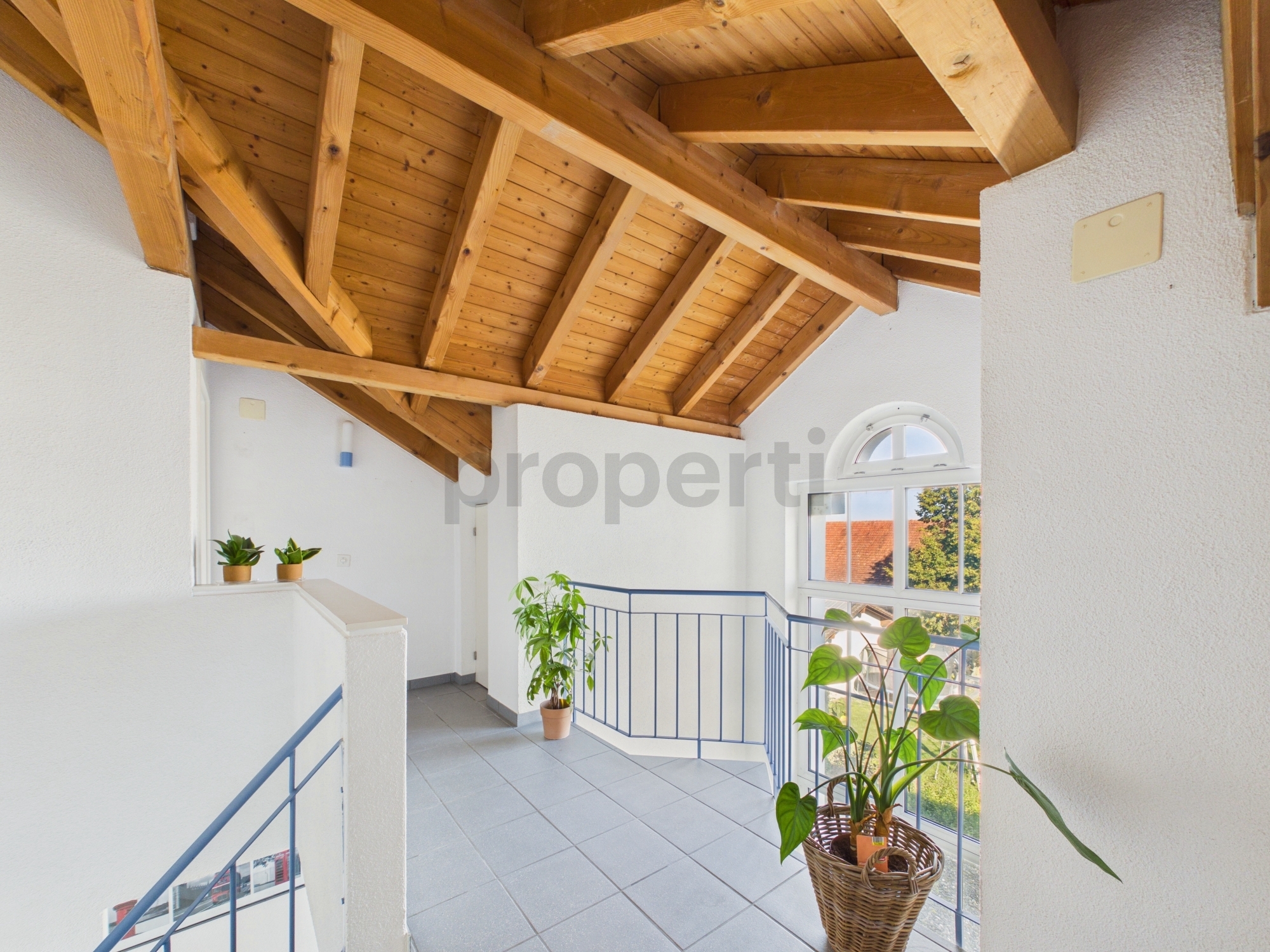 Picture 7