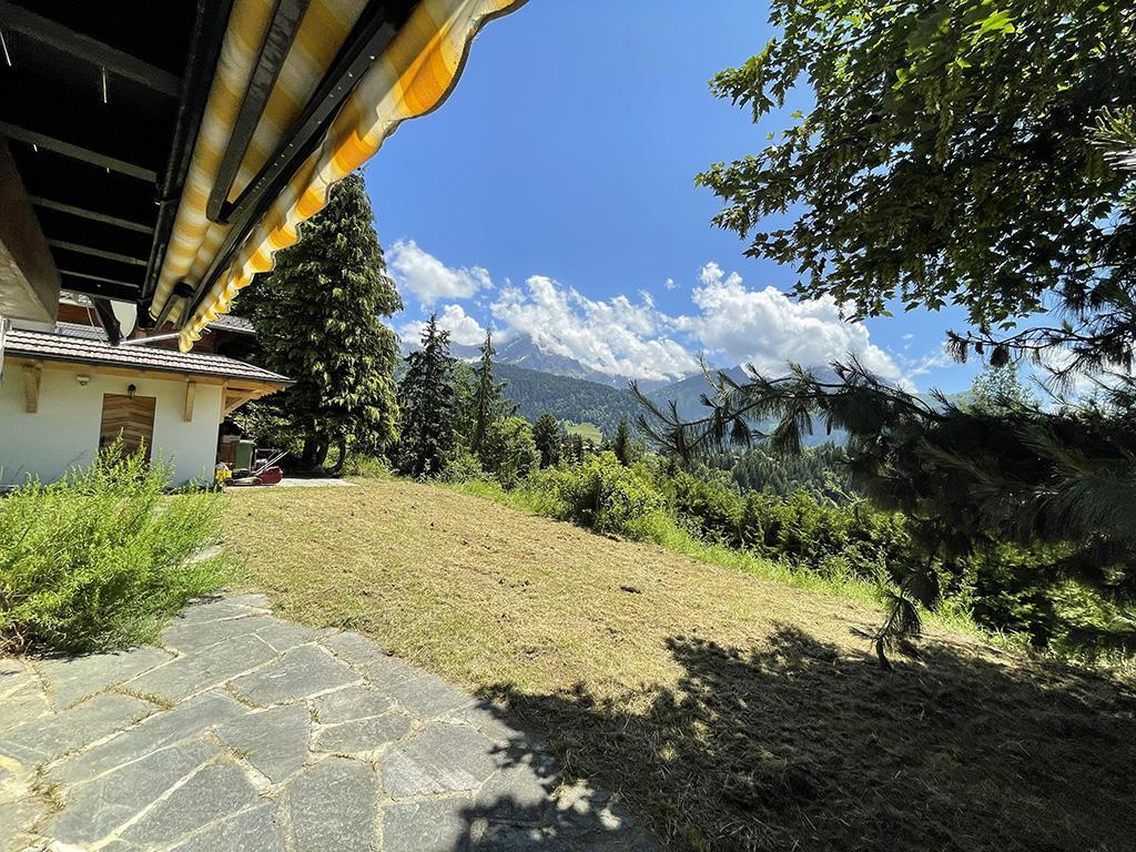 Immagine di copertina