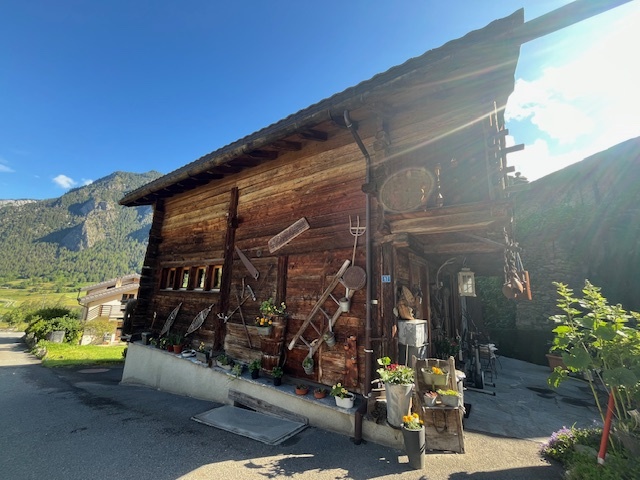 Foto 1