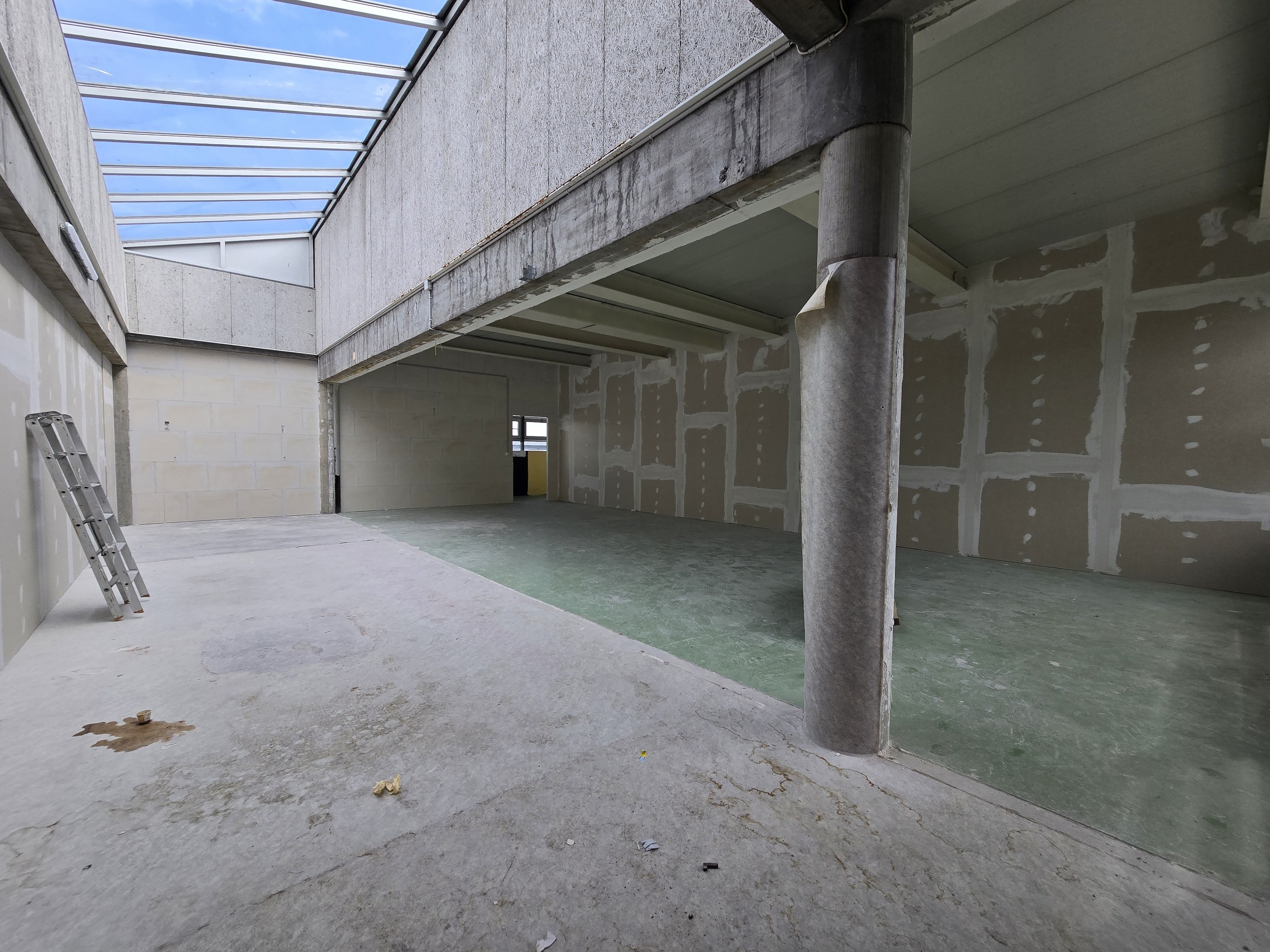 Immagine di copertina