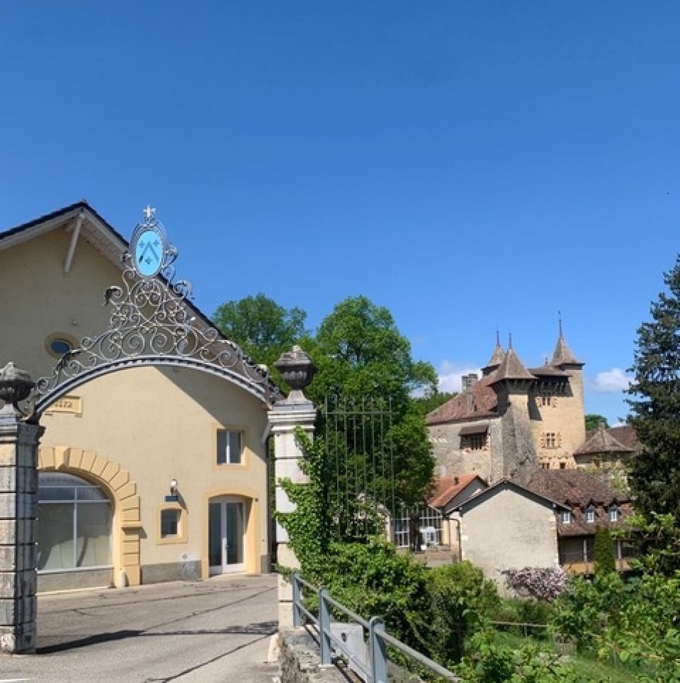 Immagine di copertina 3