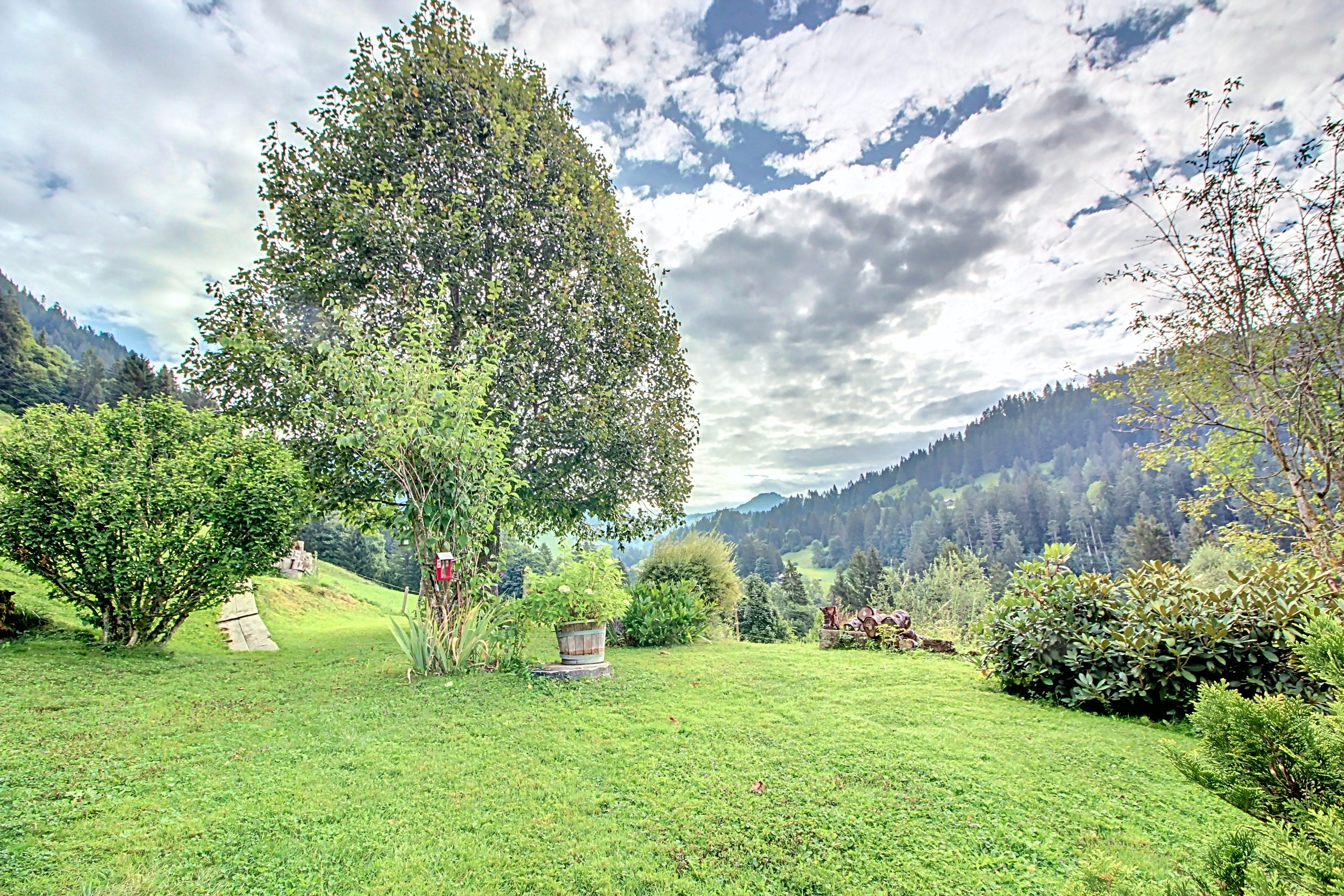 View toward east View toward east