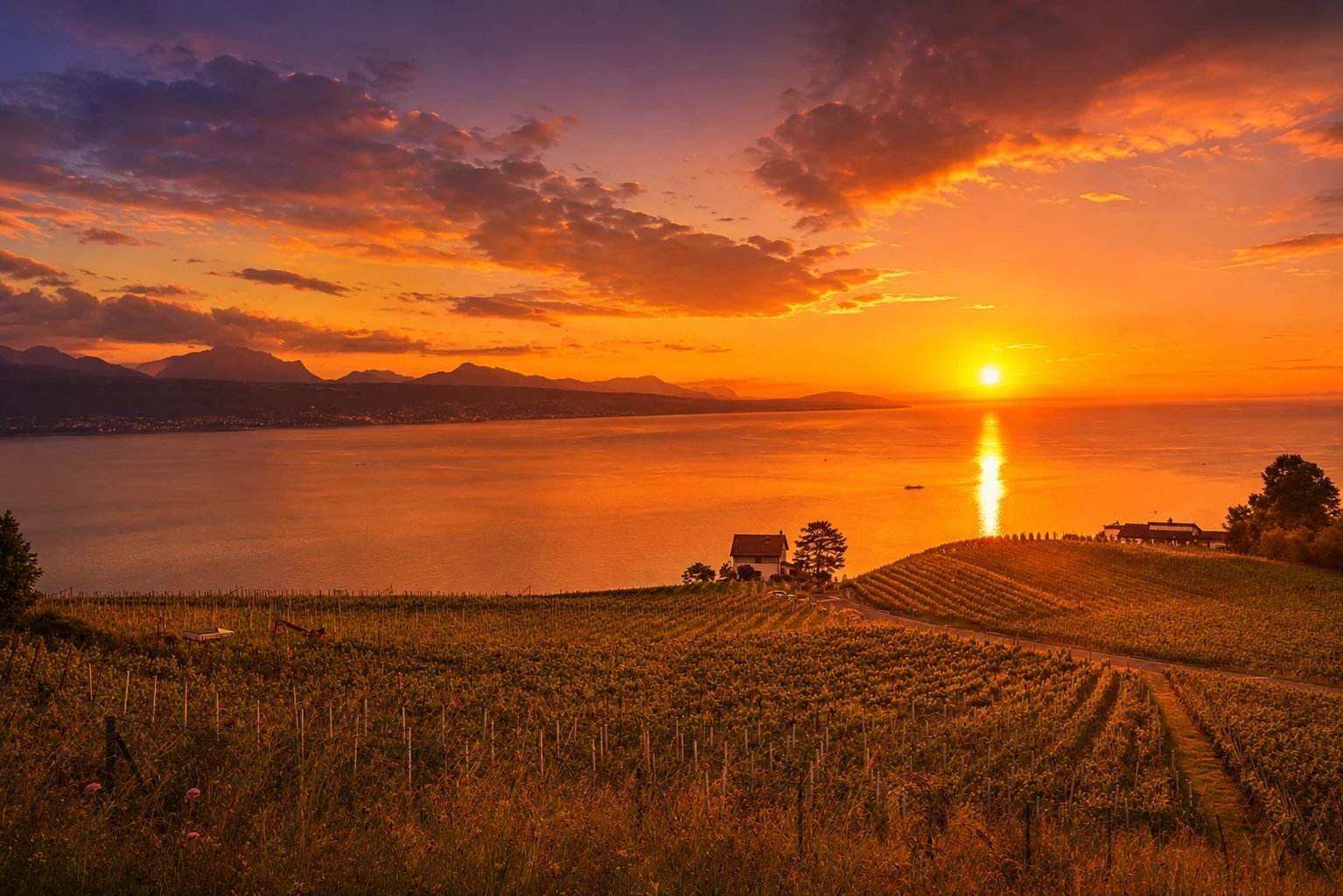 Premier coup d'oeil