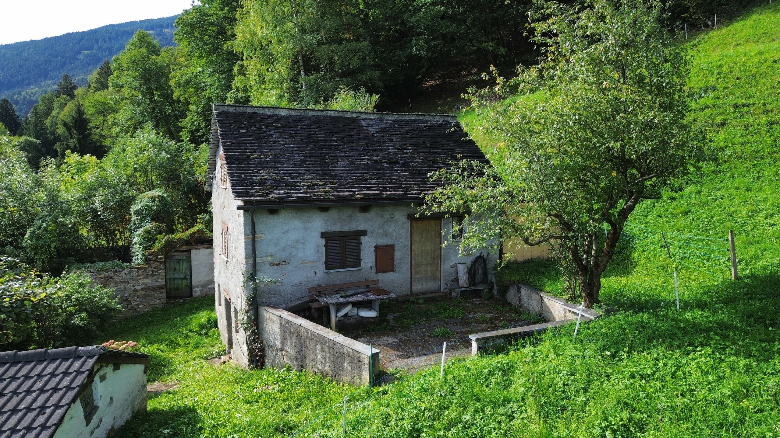 Foto 2