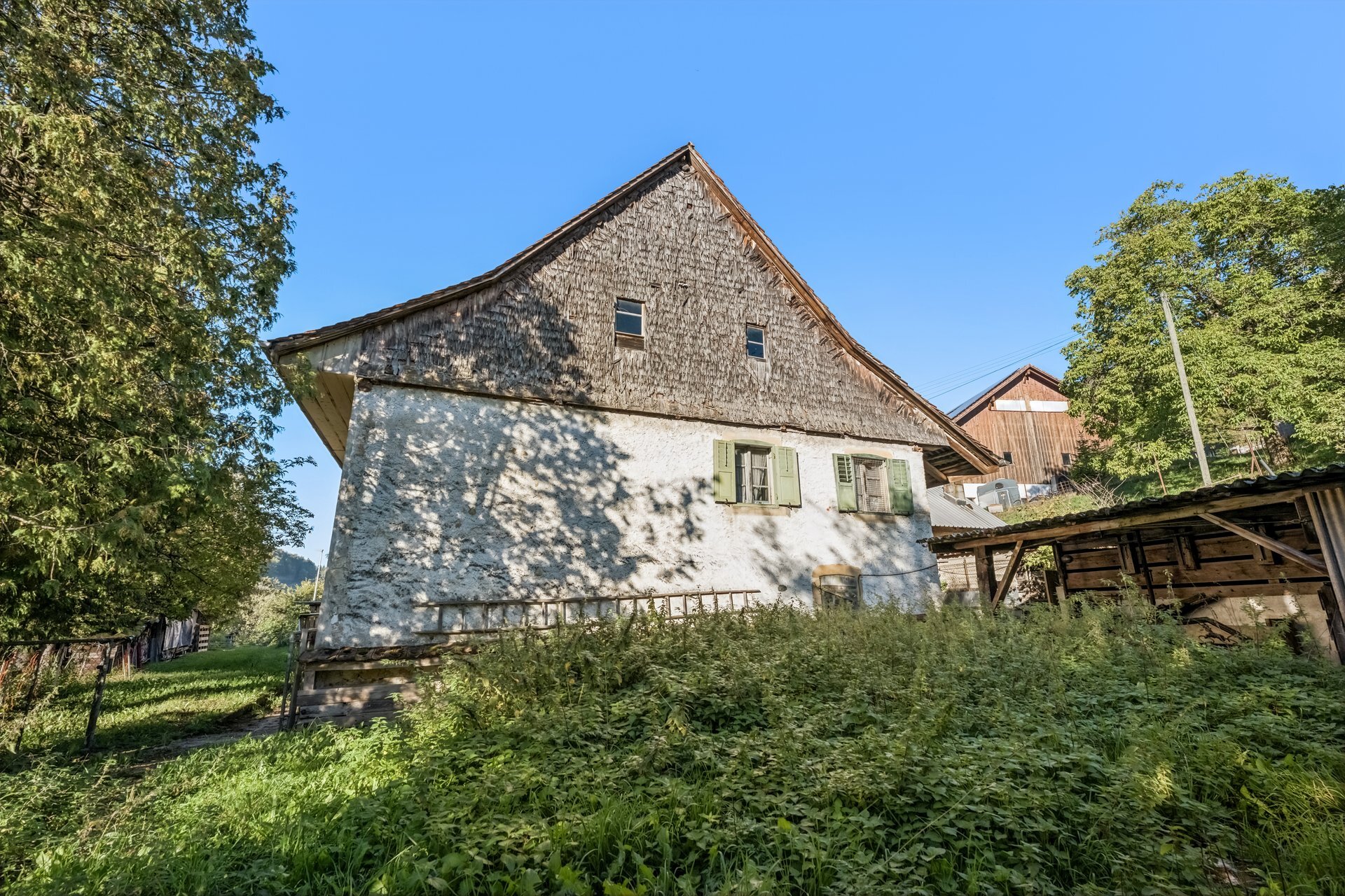 Foto 2