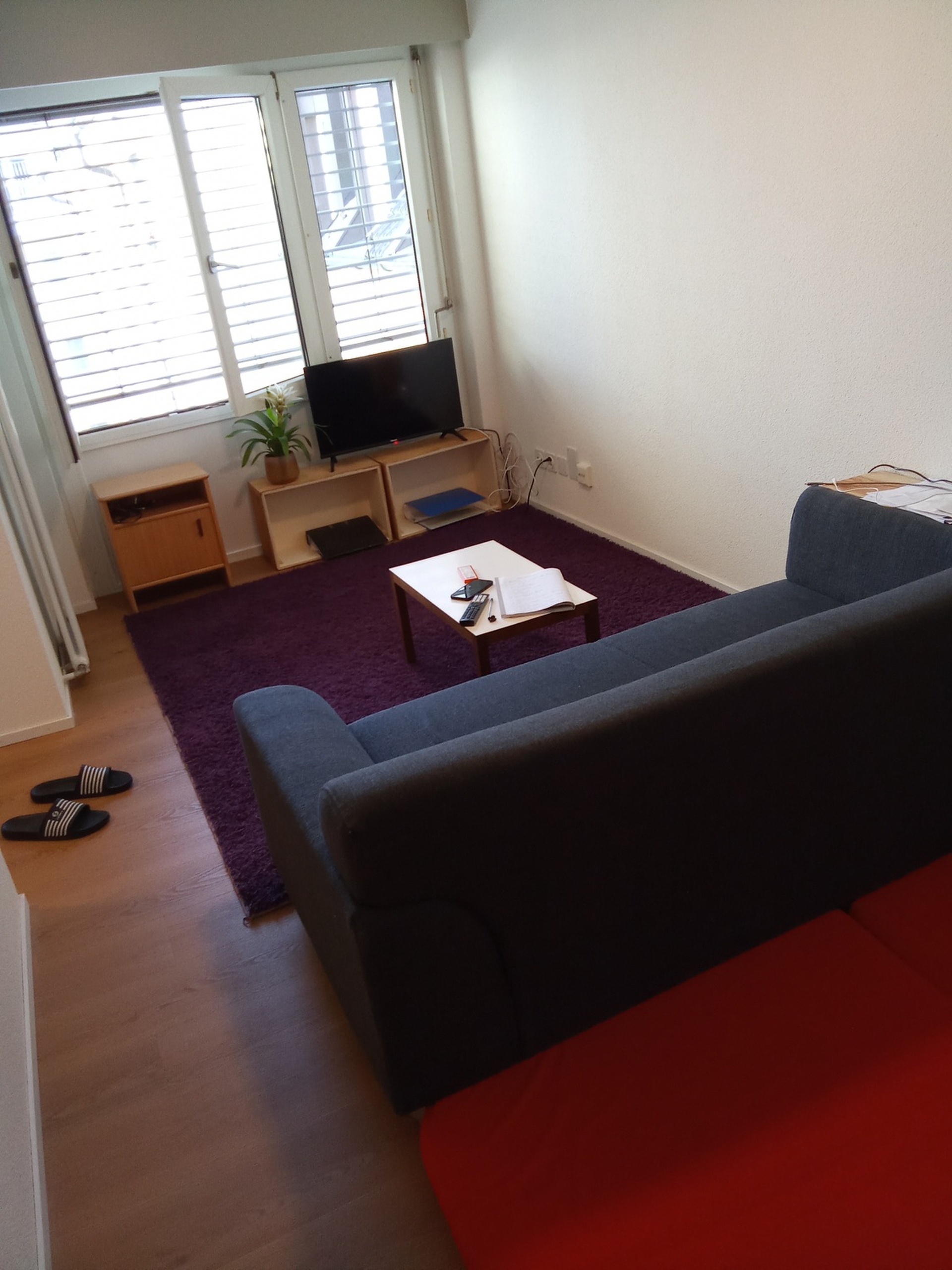 Picture 3