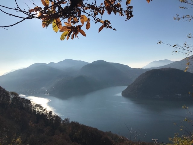 Firstview
